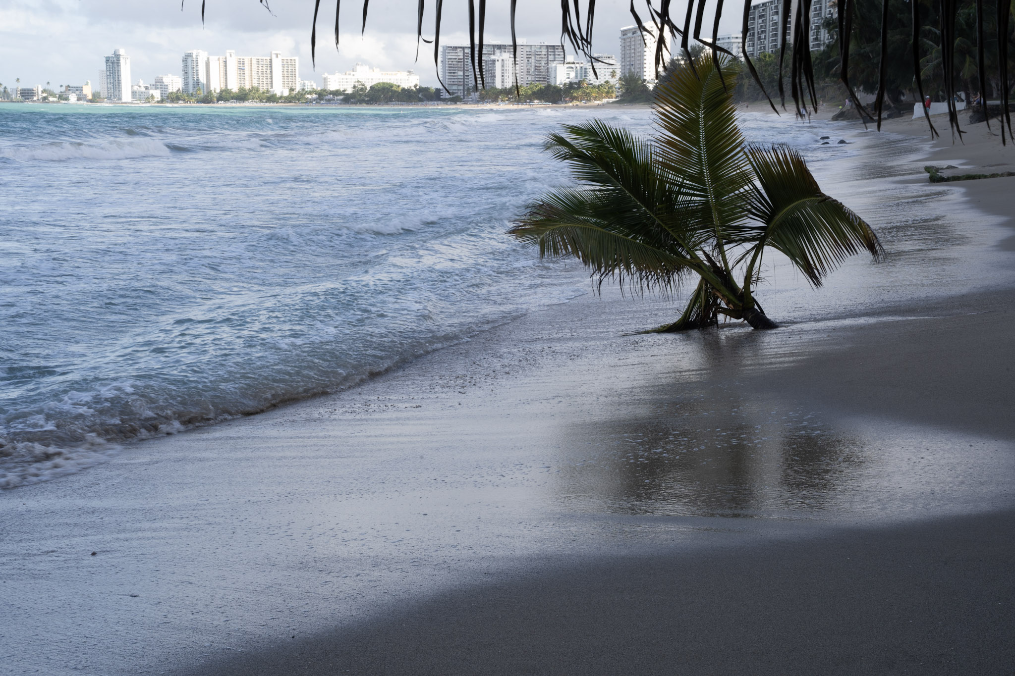 2021-12-20_Punta_las_Marias - foto 135