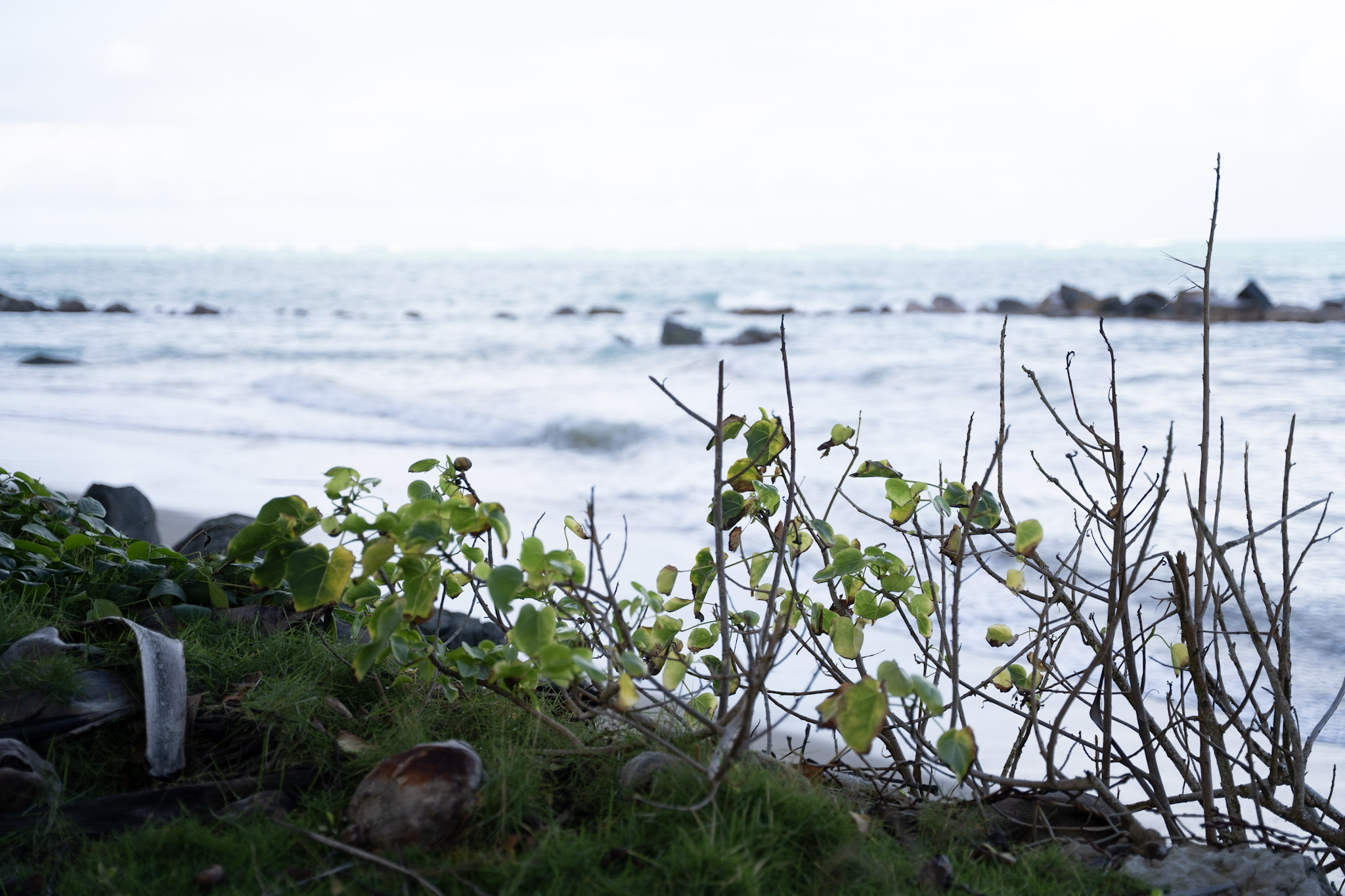 2021-12-20_Punta_las_Marias - foto 136