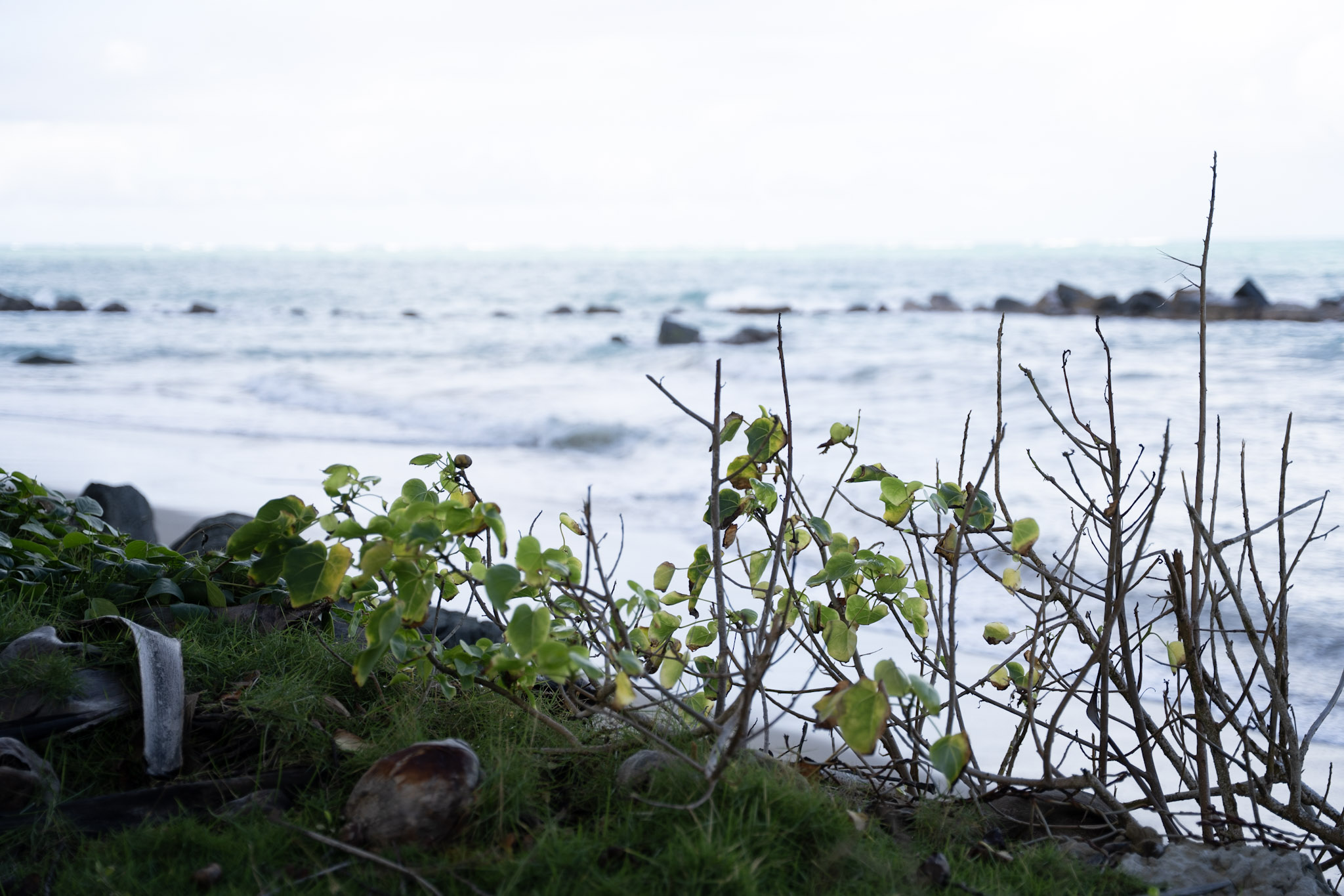 2021-12-20_Punta_las_Marias - foto 137