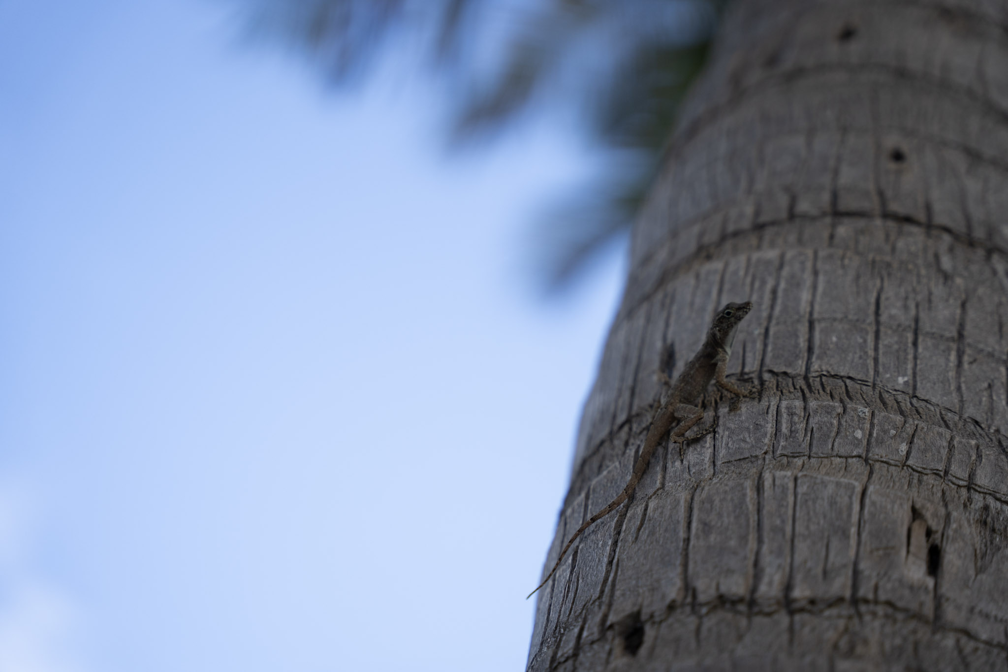 2021-12-20_Punta_las_Marias - foto 138