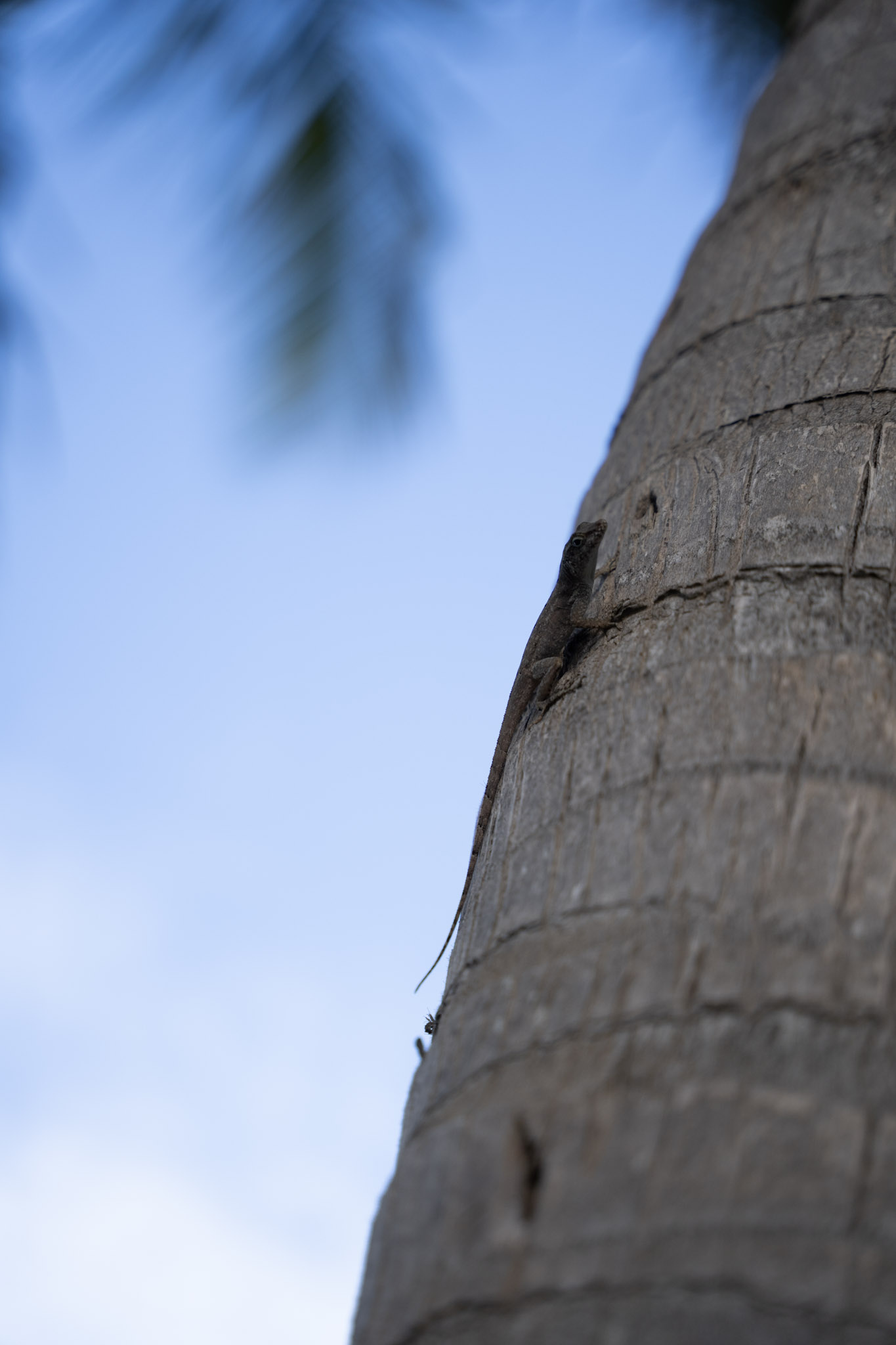 2021-12-20_Punta_las_Marias - foto 145