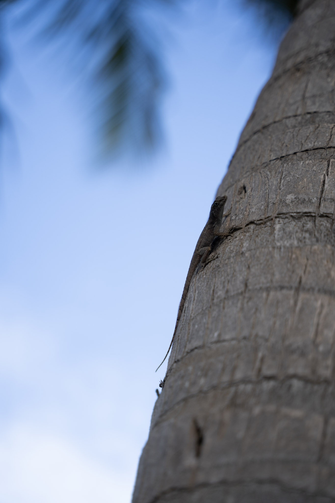 2021-12-20_Punta_las_Marias - foto 146