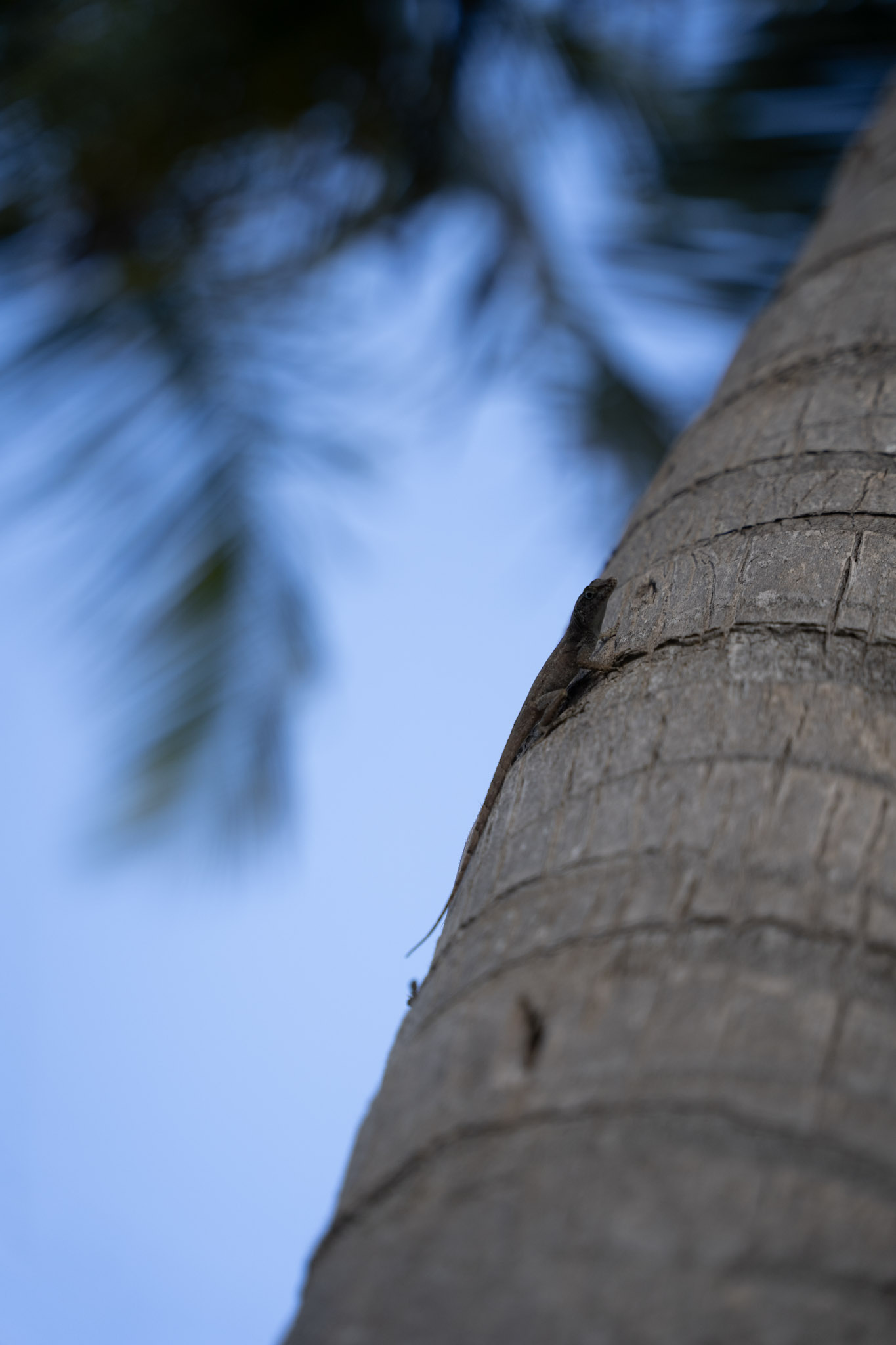 2021-12-20_Punta_las_Marias - foto 147