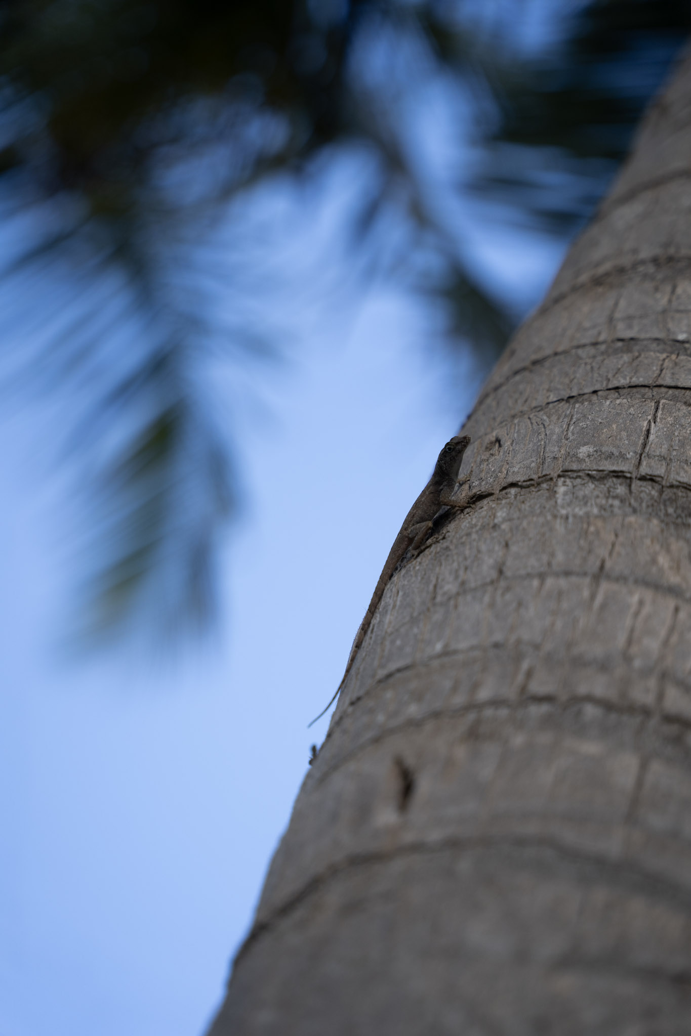 2021-12-20_Punta_las_Marias - foto 148