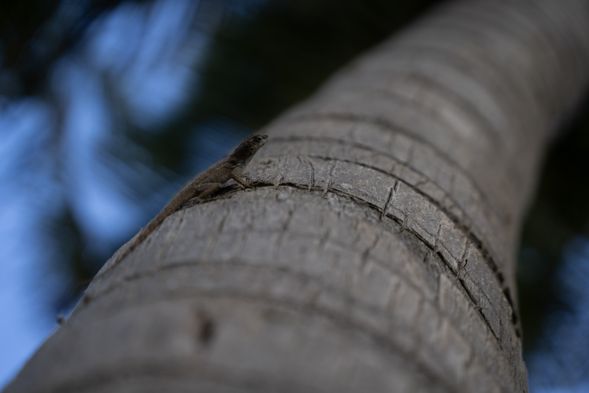 2021-12-20_Punta_las_Marias - foto 149