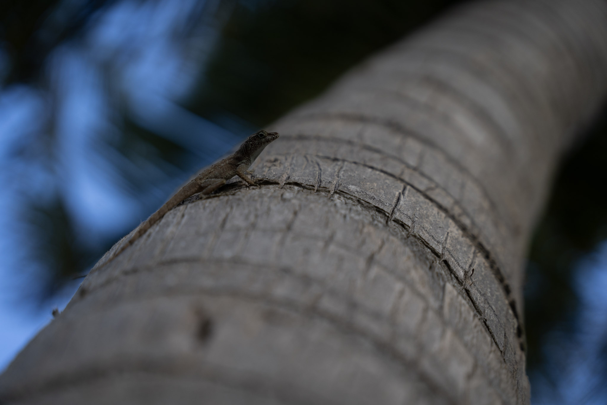 2021-12-20_Punta_las_Marias - foto 150