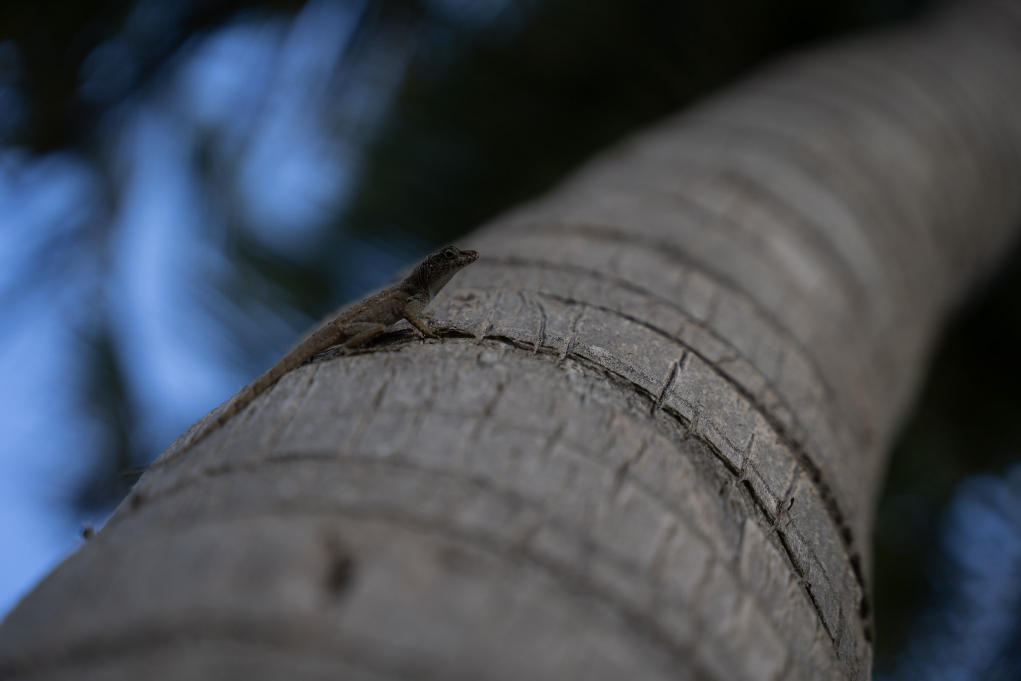 2021-12-20_Punta_las_Marias - foto 151