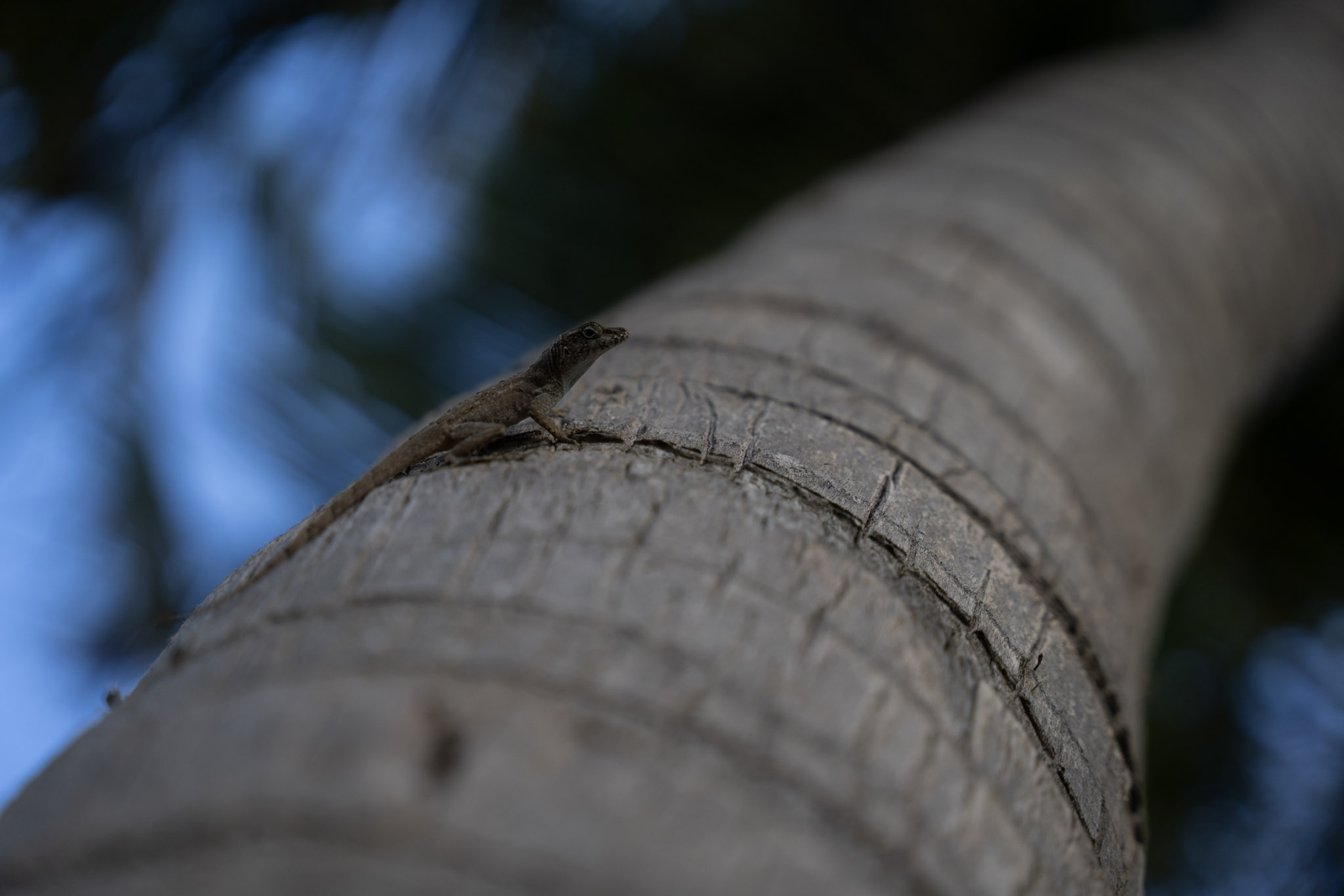 2021-12-20_Punta_las_Marias - foto 152