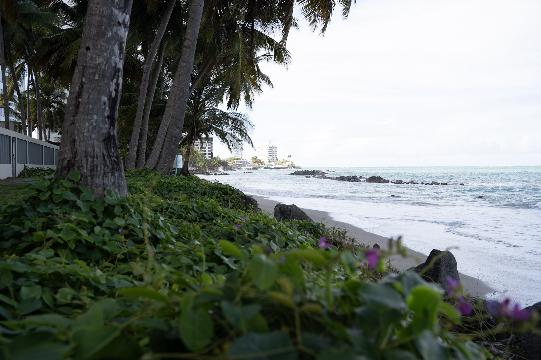 2021-12-20_Punta_las_Marias - foto 153