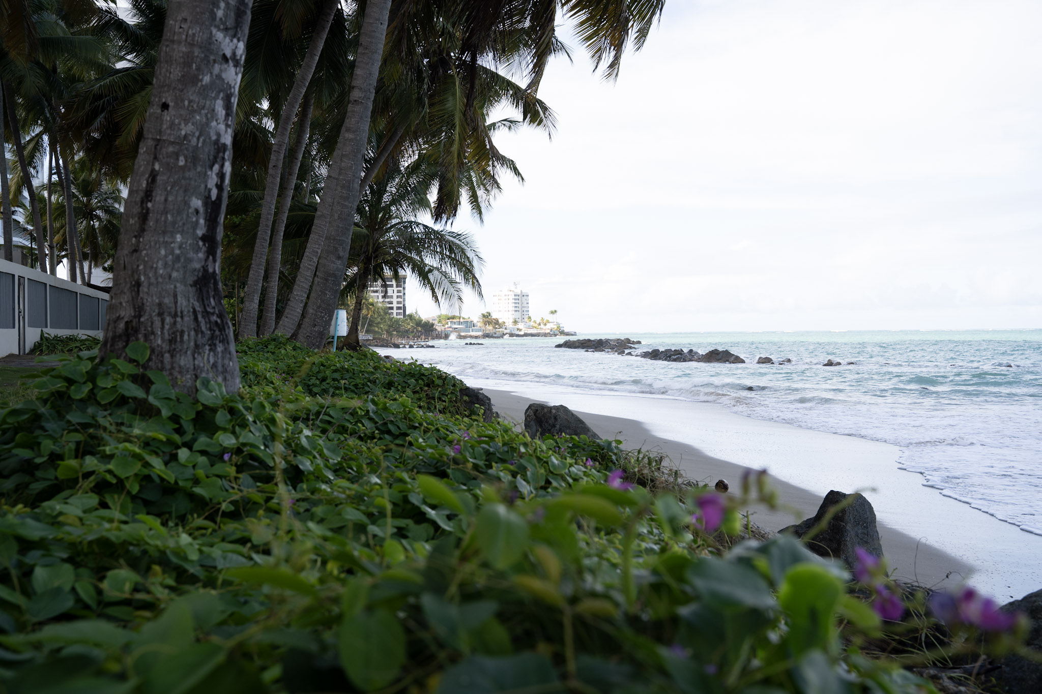 2021-12-20_Punta_las_Marias - foto 156