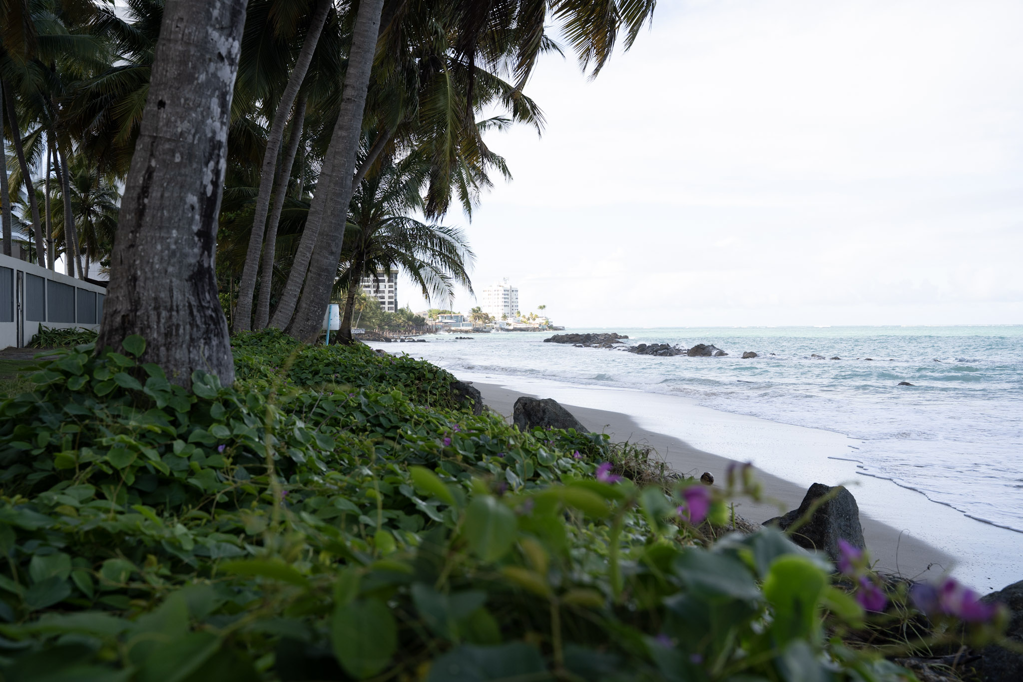 2021-12-20_Punta_las_Marias - foto 157