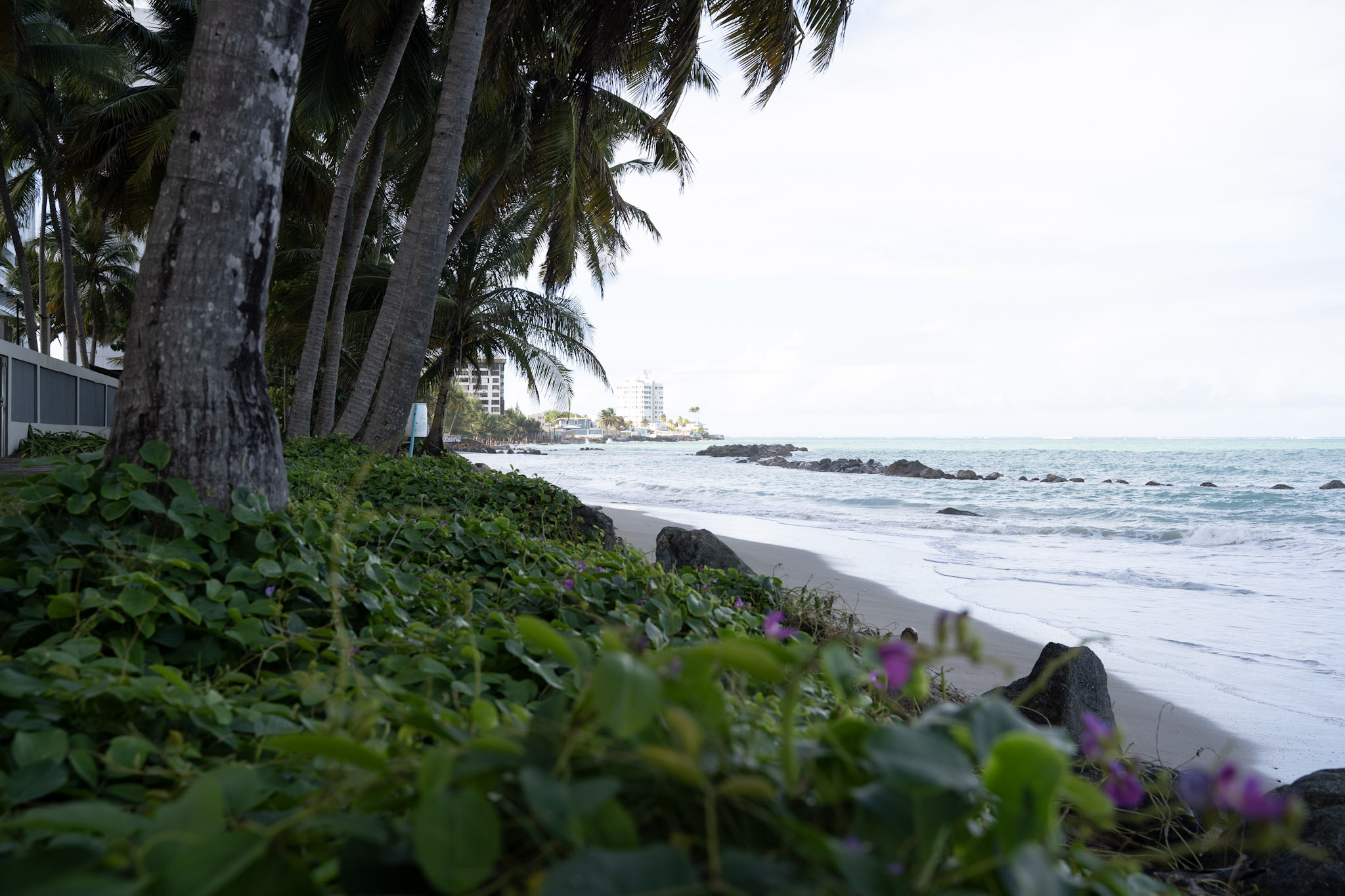 2021-12-20_Punta_las_Marias - foto 159