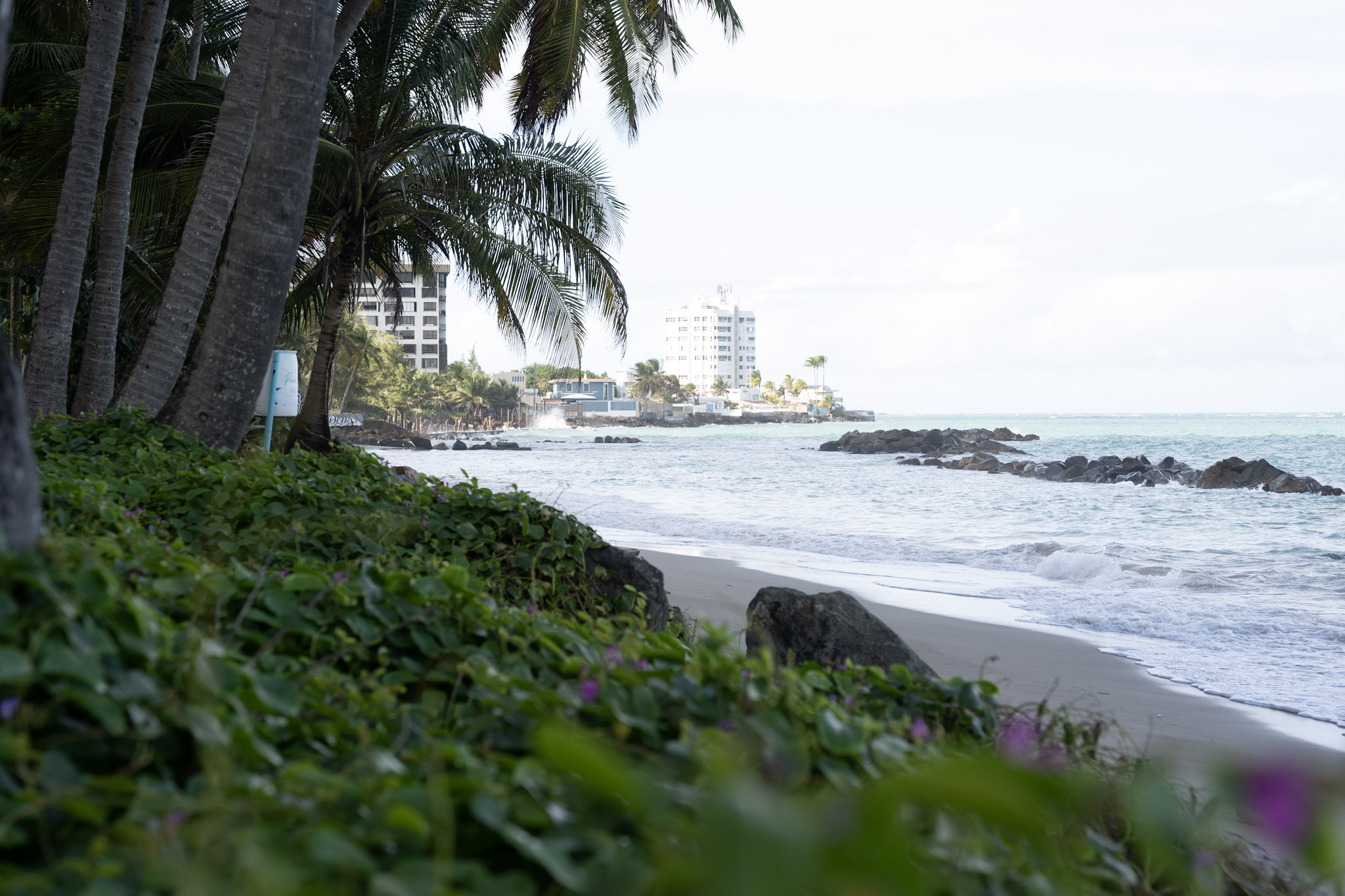 2021-12-20_Punta_las_Marias - foto 161