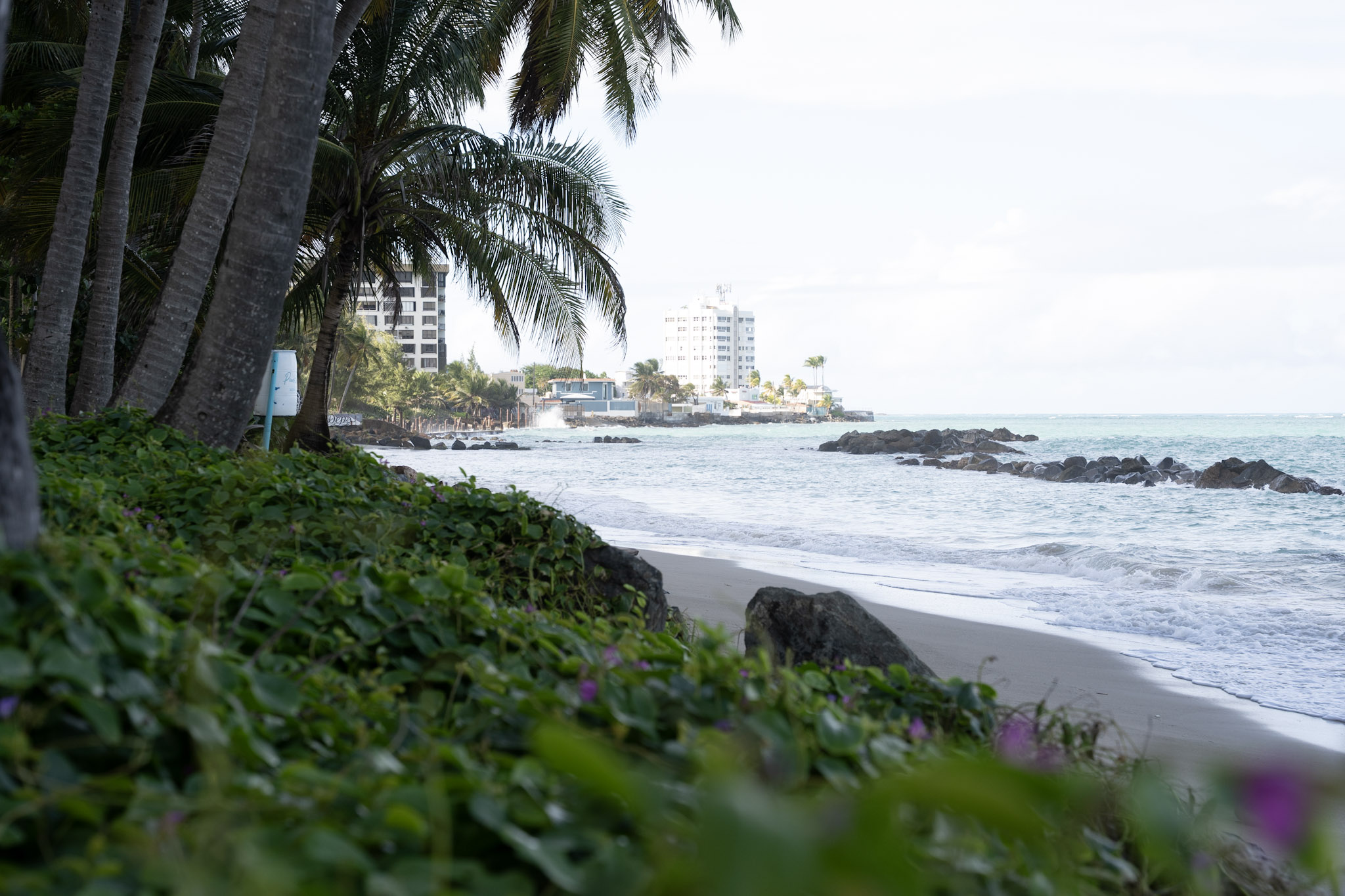 2021-12-20_Punta_las_Marias - foto 162