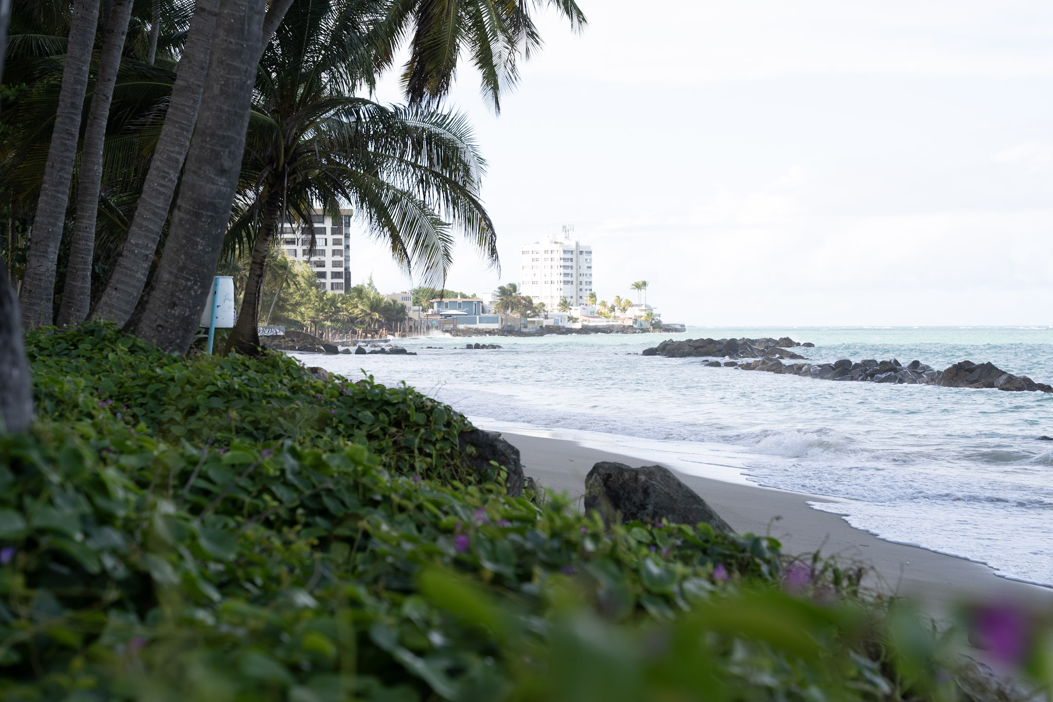 2021-12-20_Punta_las_Marias - foto 163