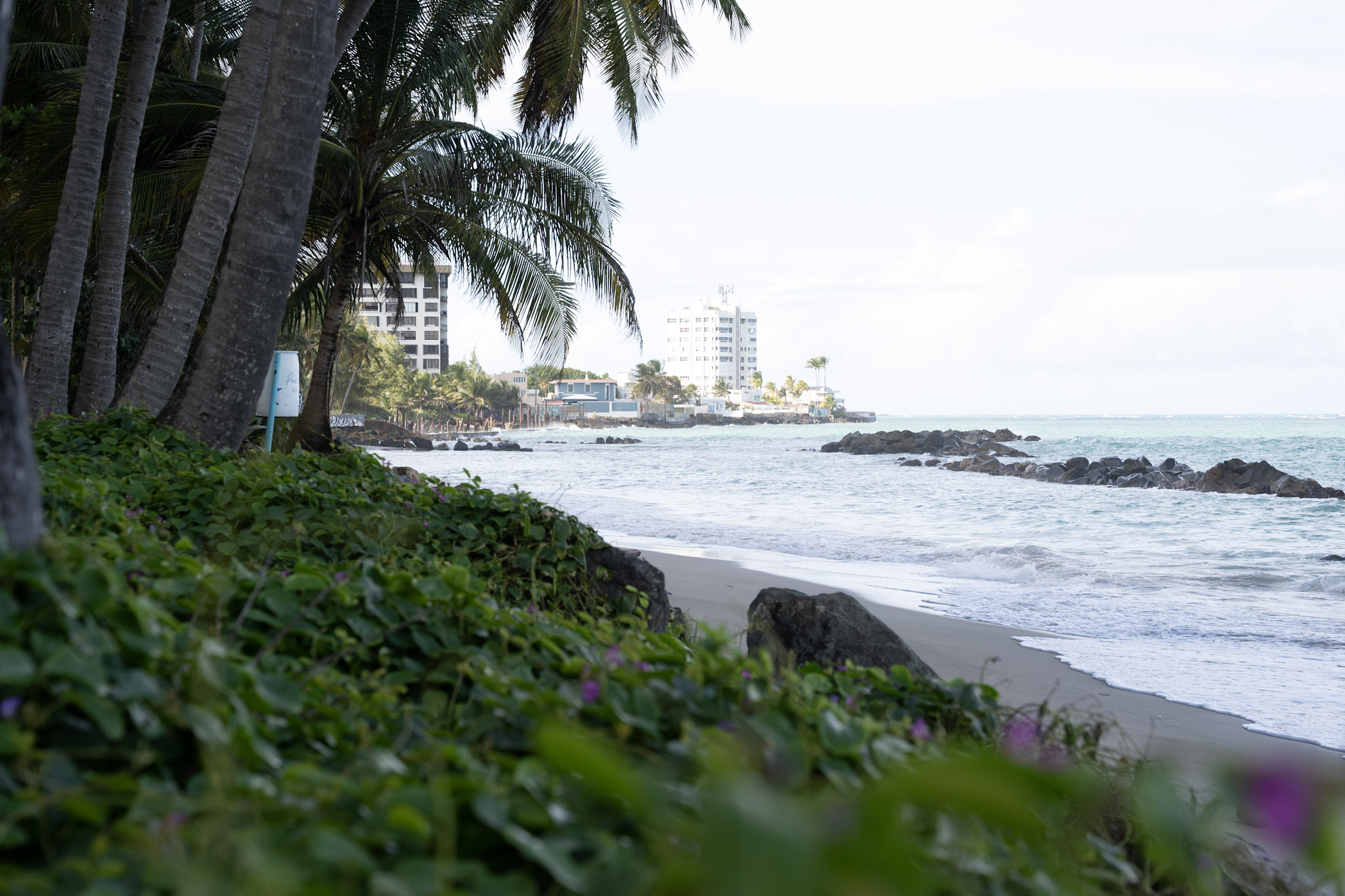 2021-12-20_Punta_las_Marias - foto 164