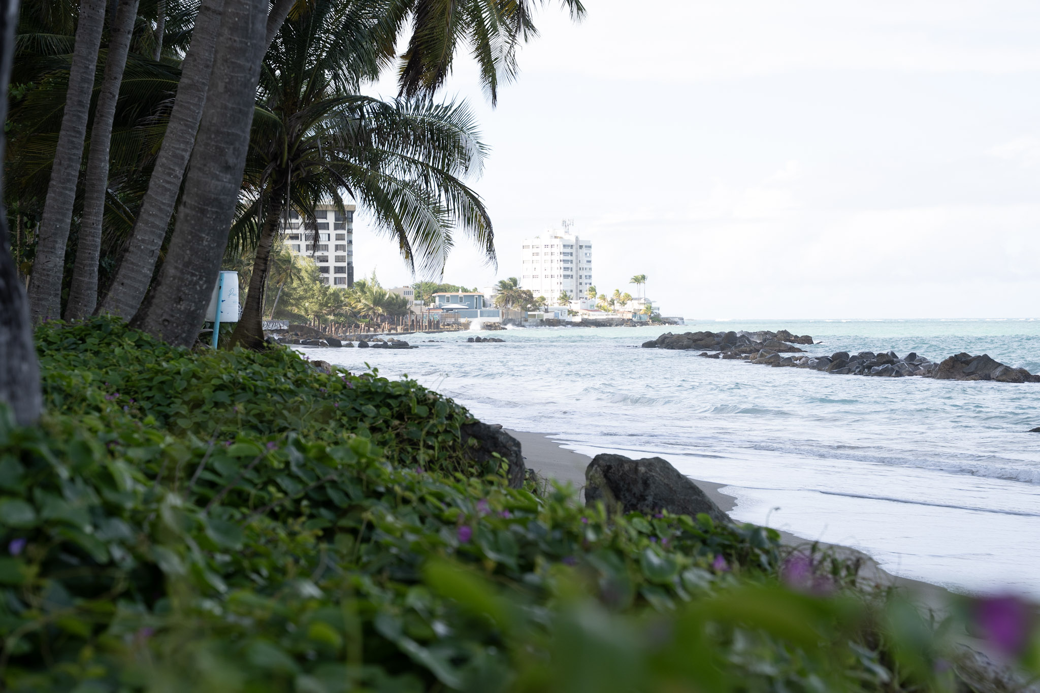 2021-12-20_Punta_las_Marias - foto 165