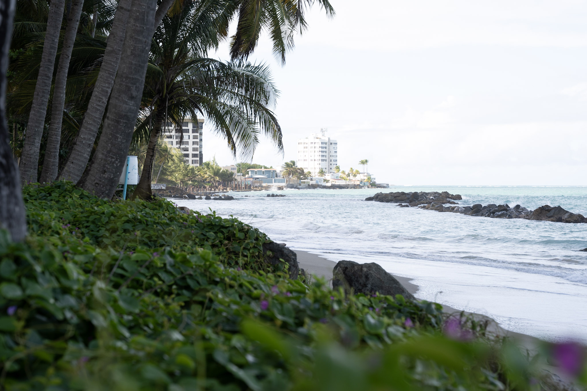 2021-12-20_Punta_las_Marias - foto 167