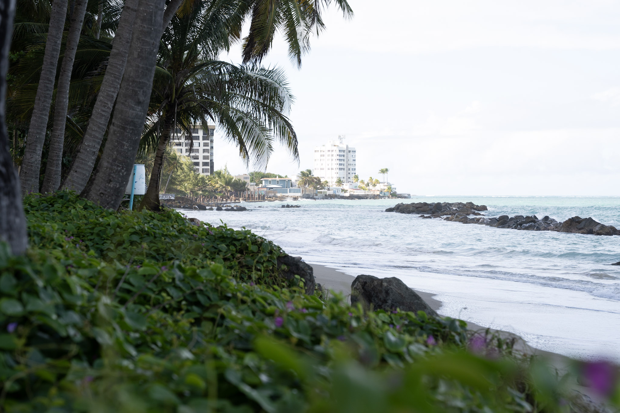 2021-12-20_Punta_las_Marias - foto 168