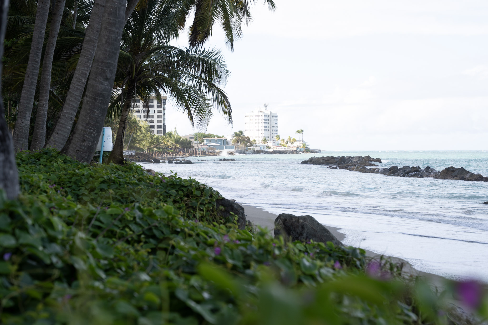 2021-12-20_Punta_las_Marias - foto 169