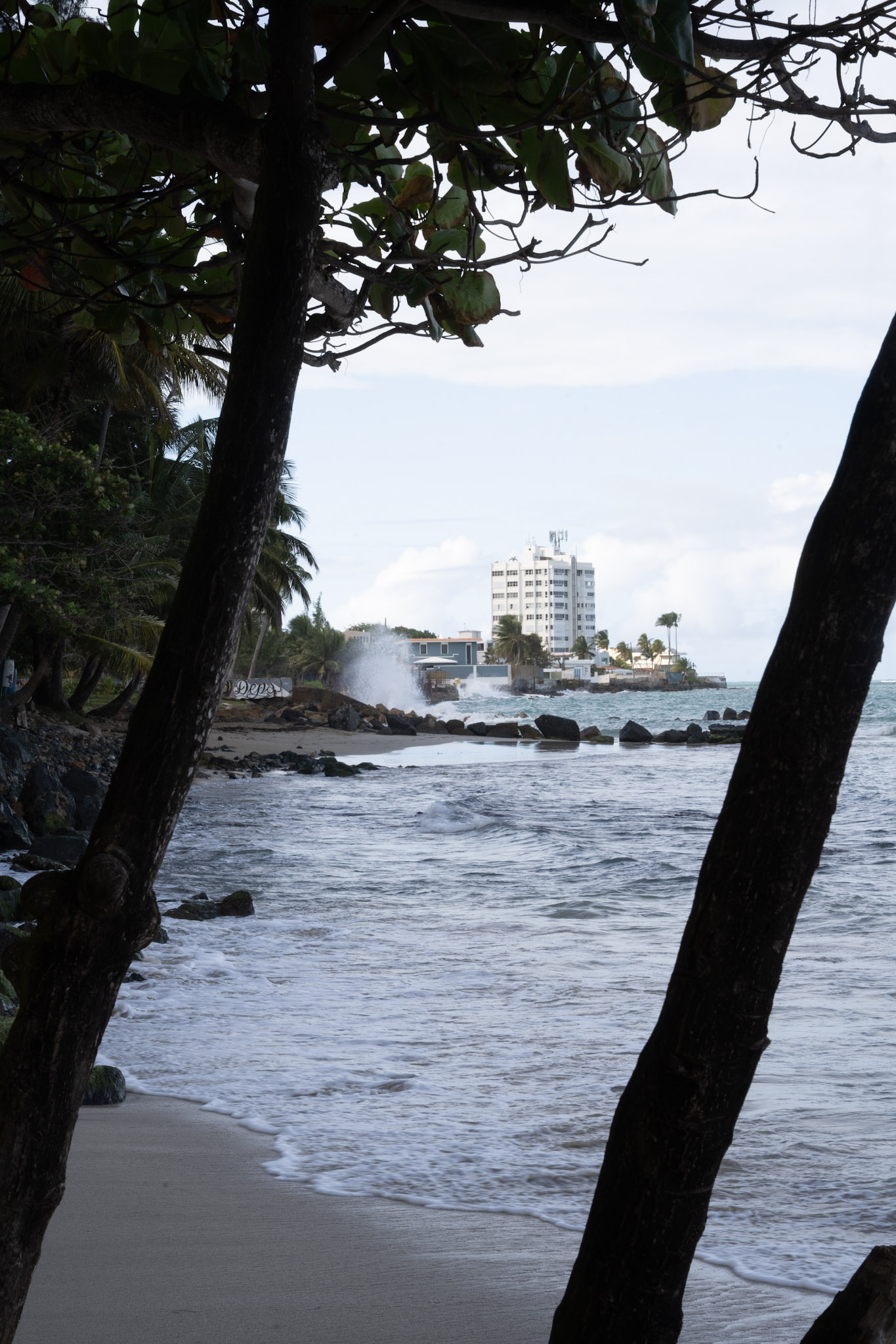 2021-12-20_Punta_las_Marias - foto 171