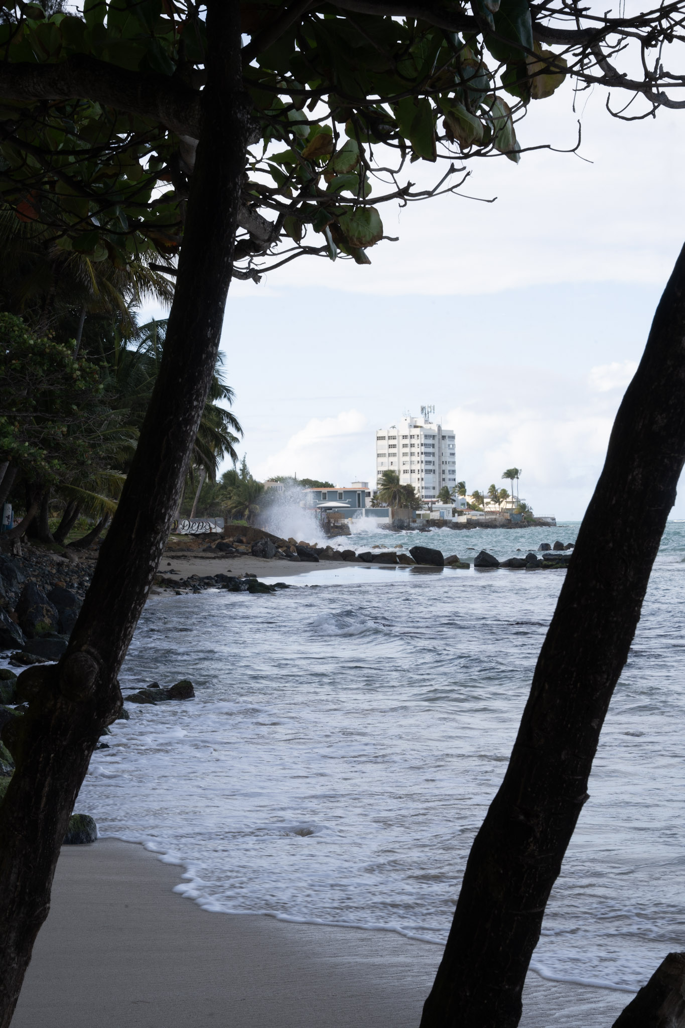 2021-12-20_Punta_las_Marias - foto 175