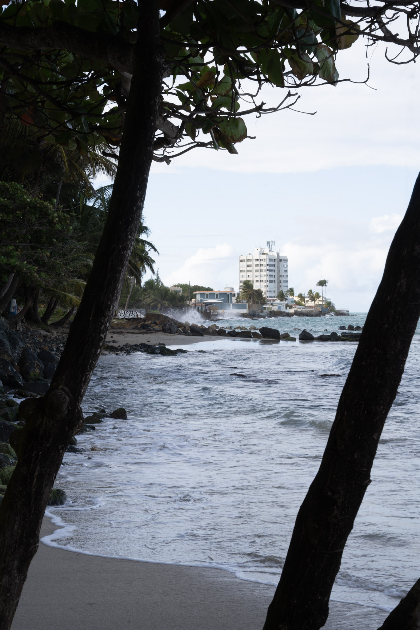 2021-12-20_Punta_las_Marias - foto 176