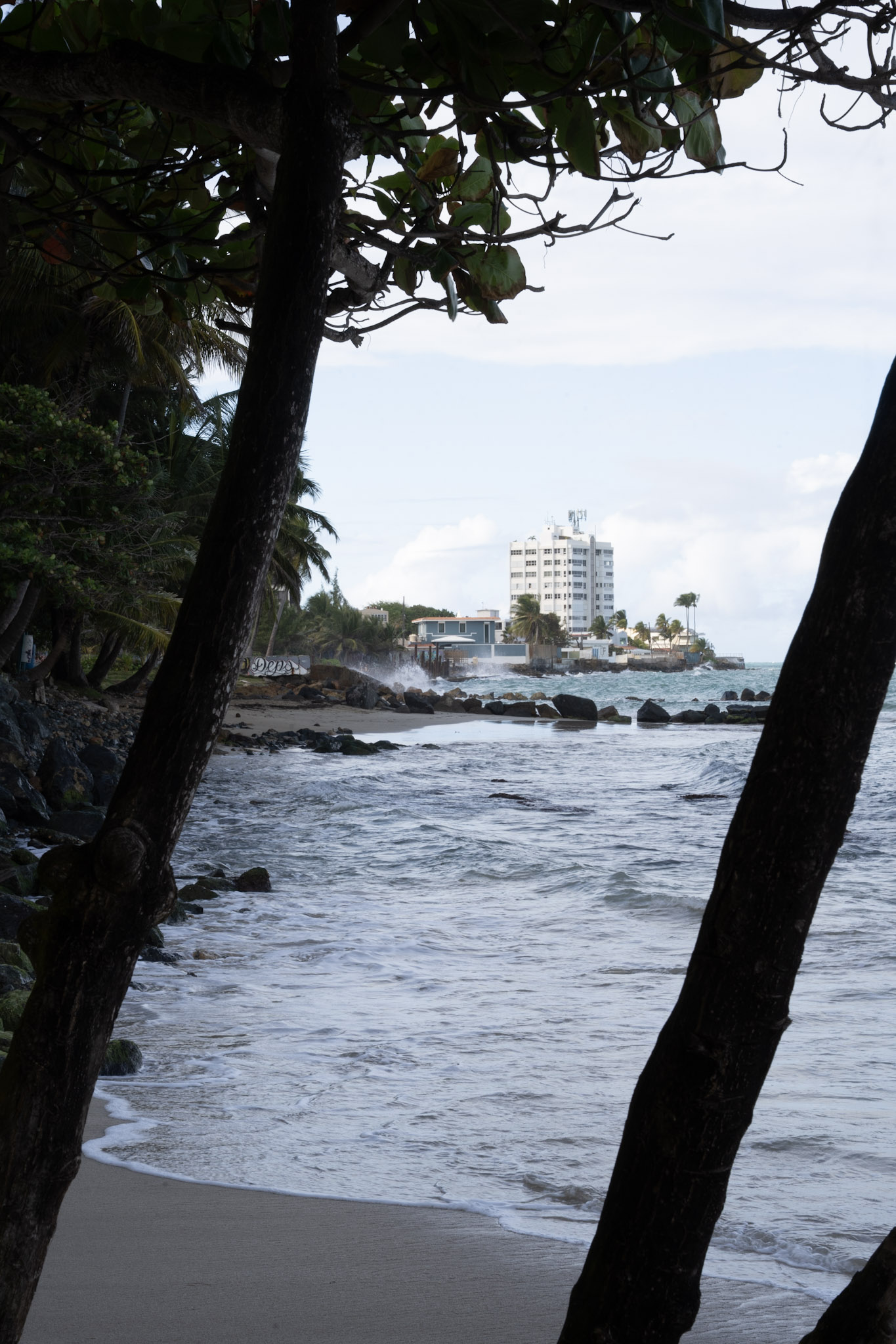 2021-12-20_Punta_las_Marias - foto 177