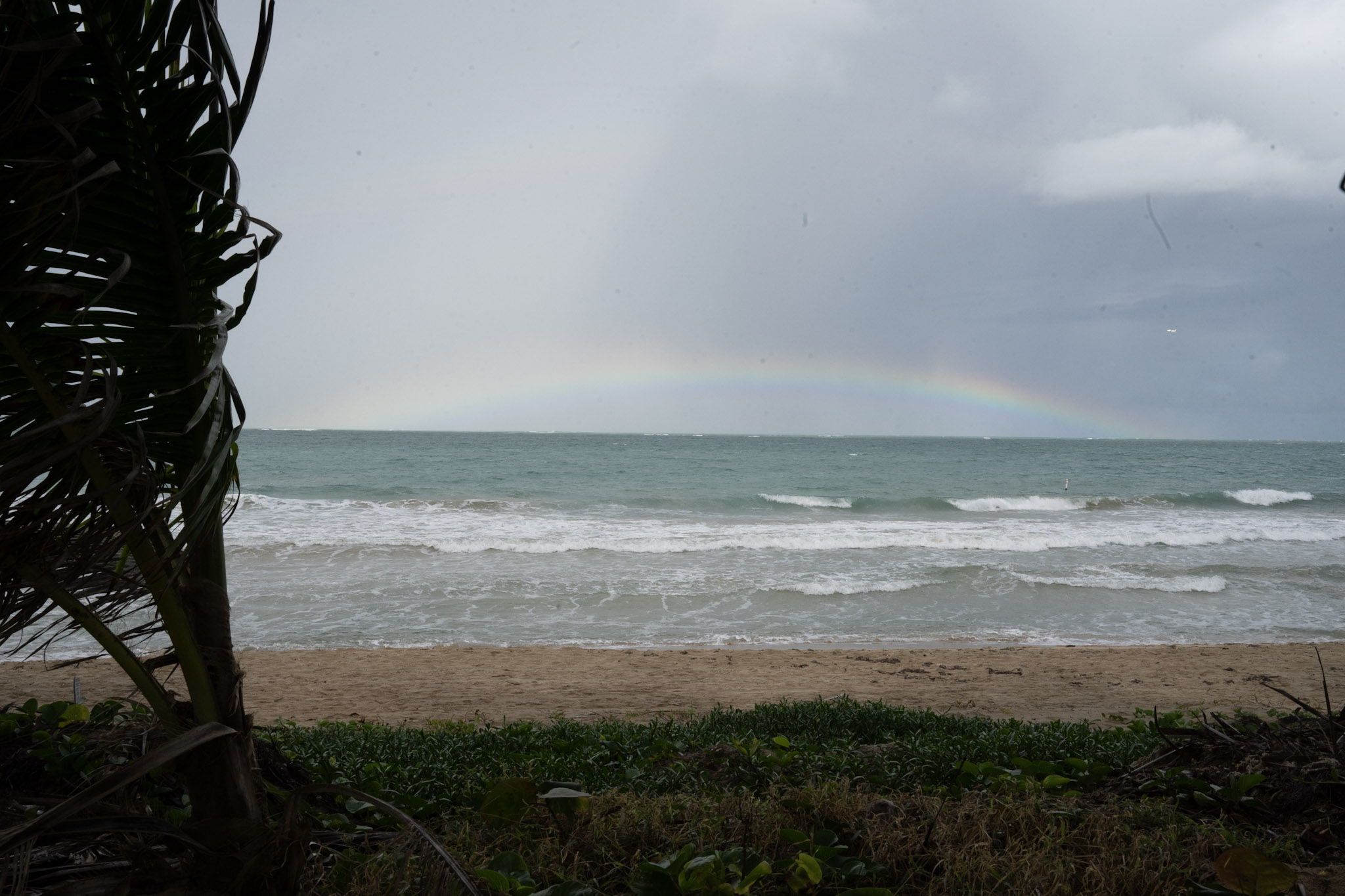 Punta las Marias