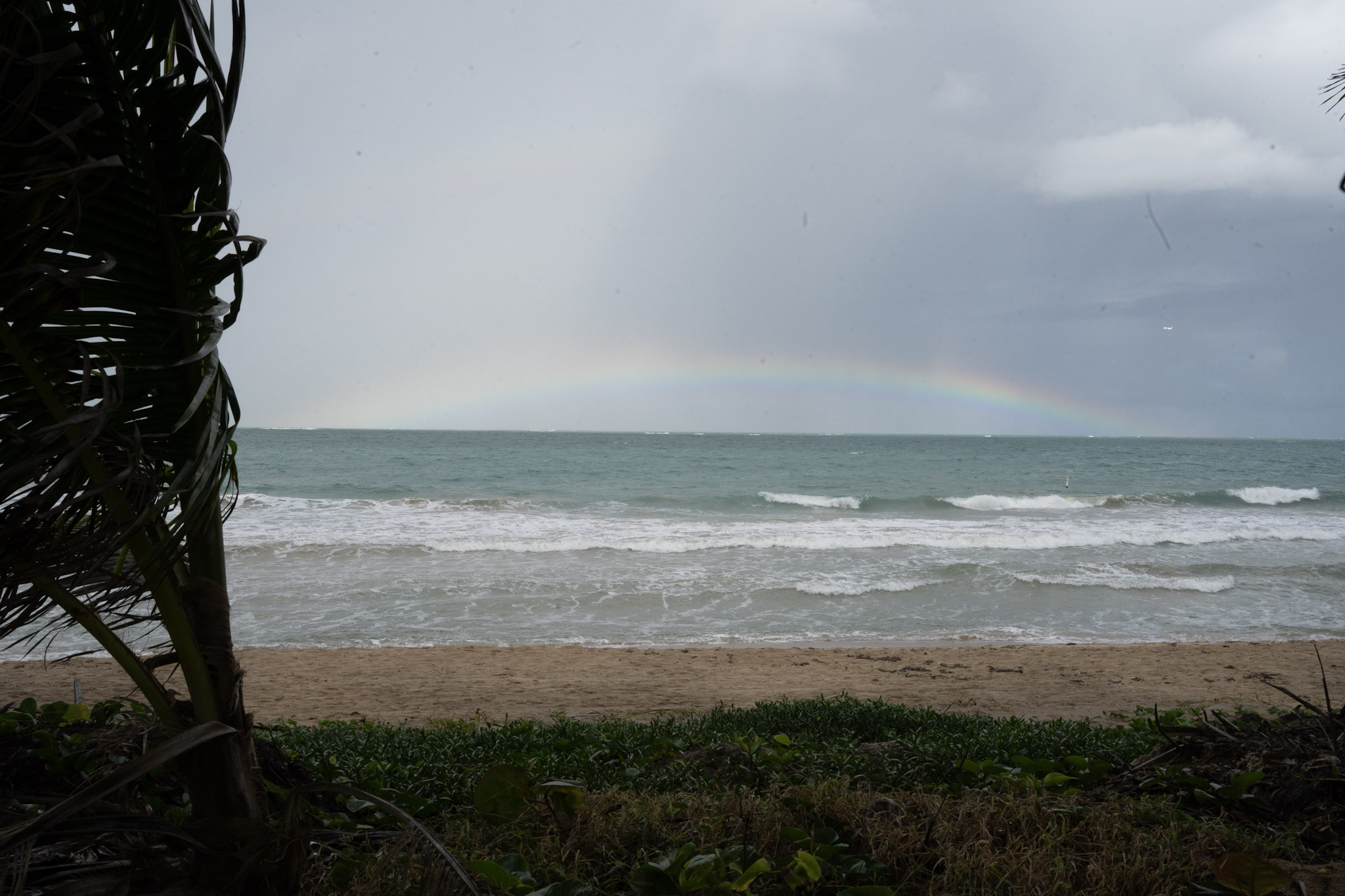 Punta las Marias - foto 2