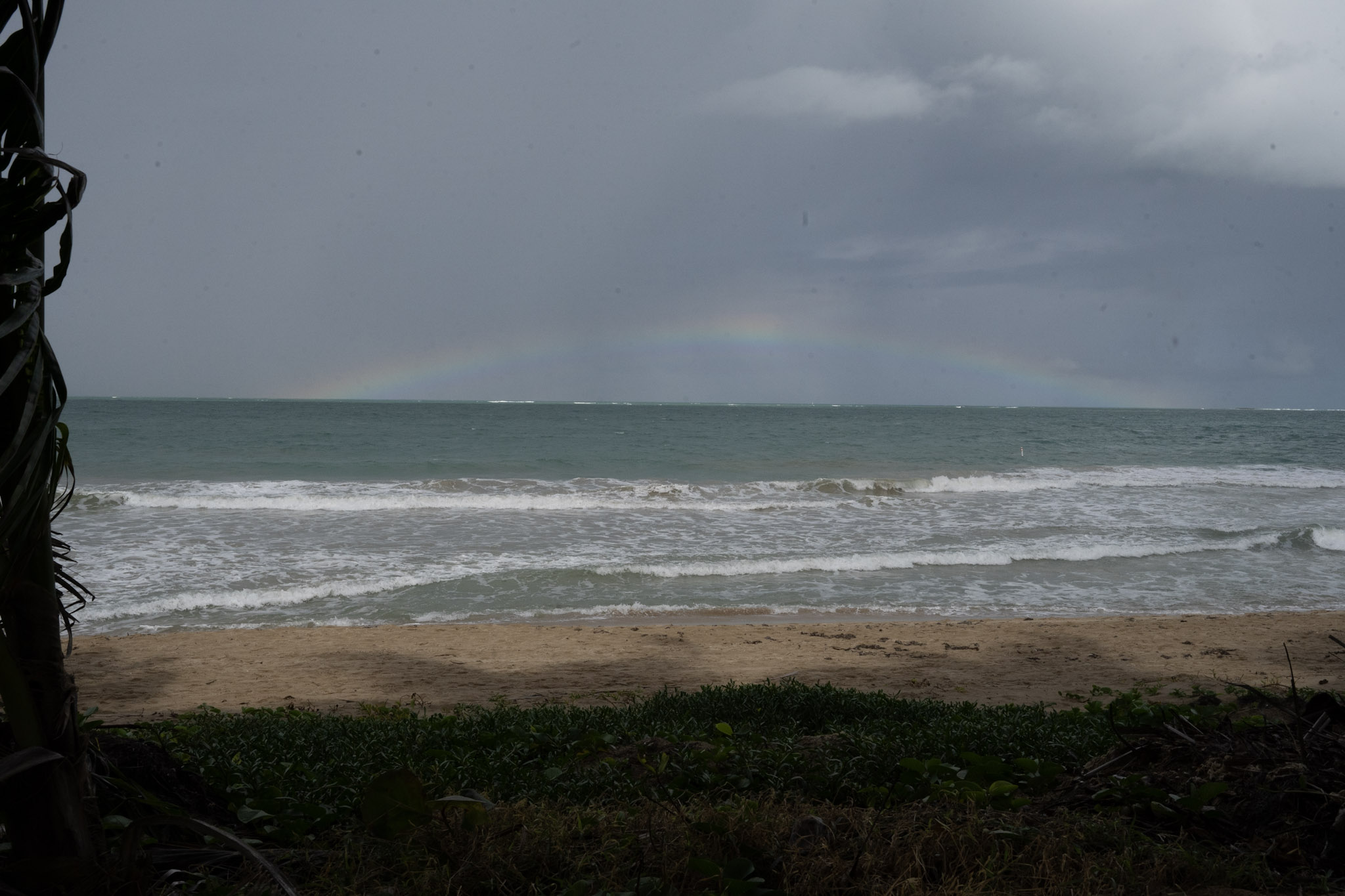 Punta las Marias - foto 3