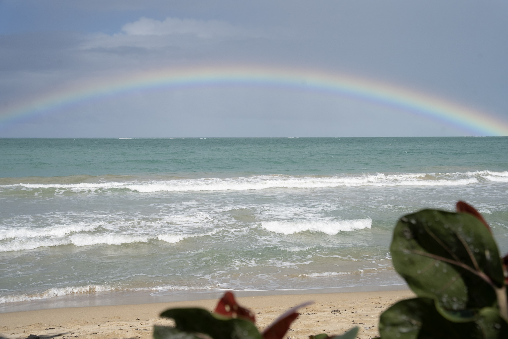 Punta las Marias - foto 41