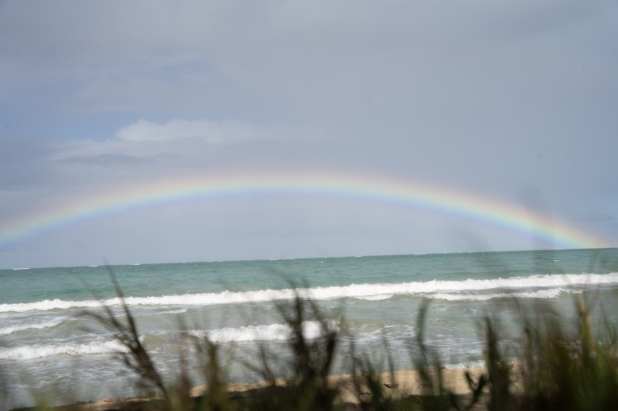 Punta las Marias - foto 42