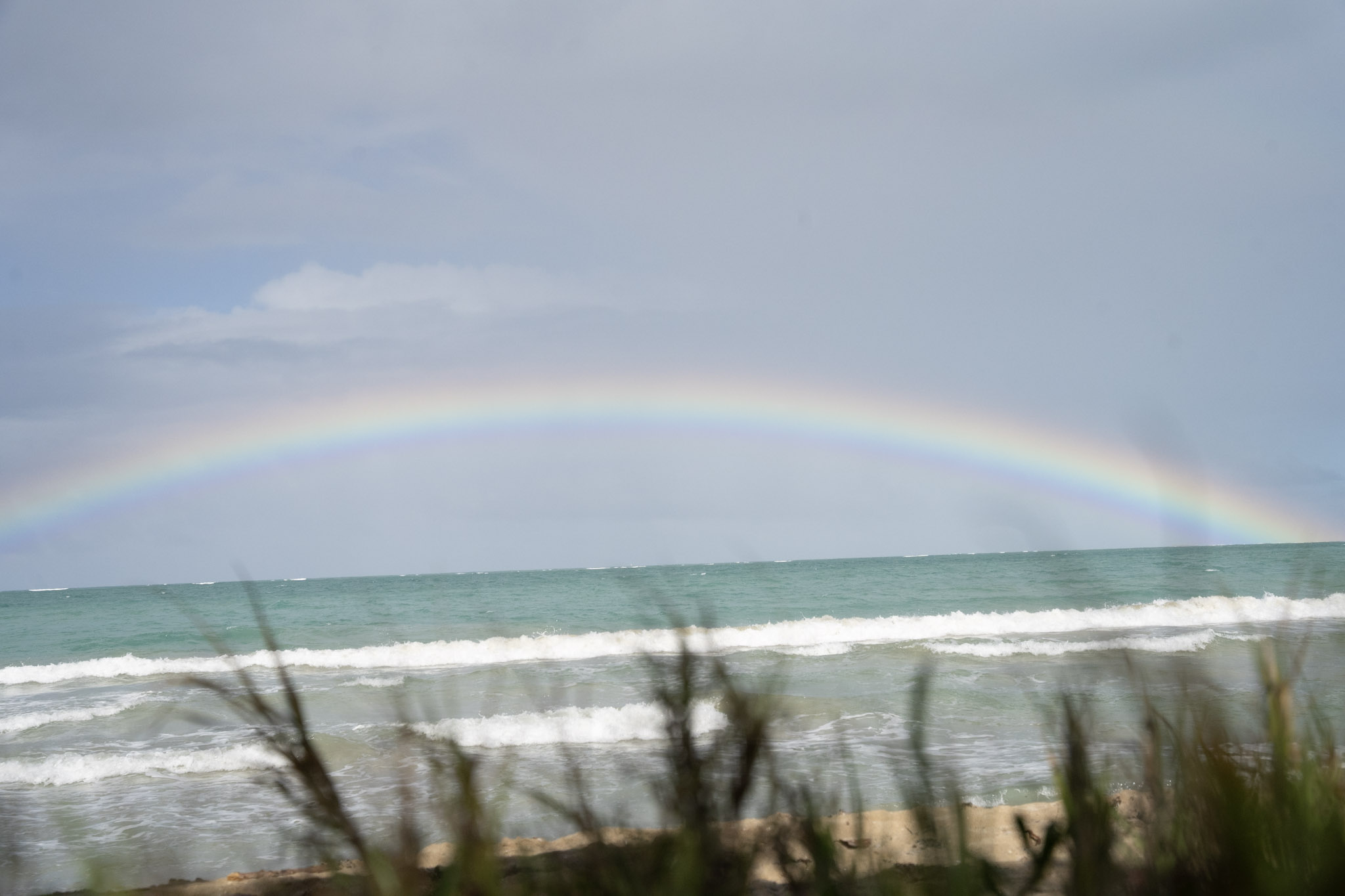 Punta las Marias - foto 43