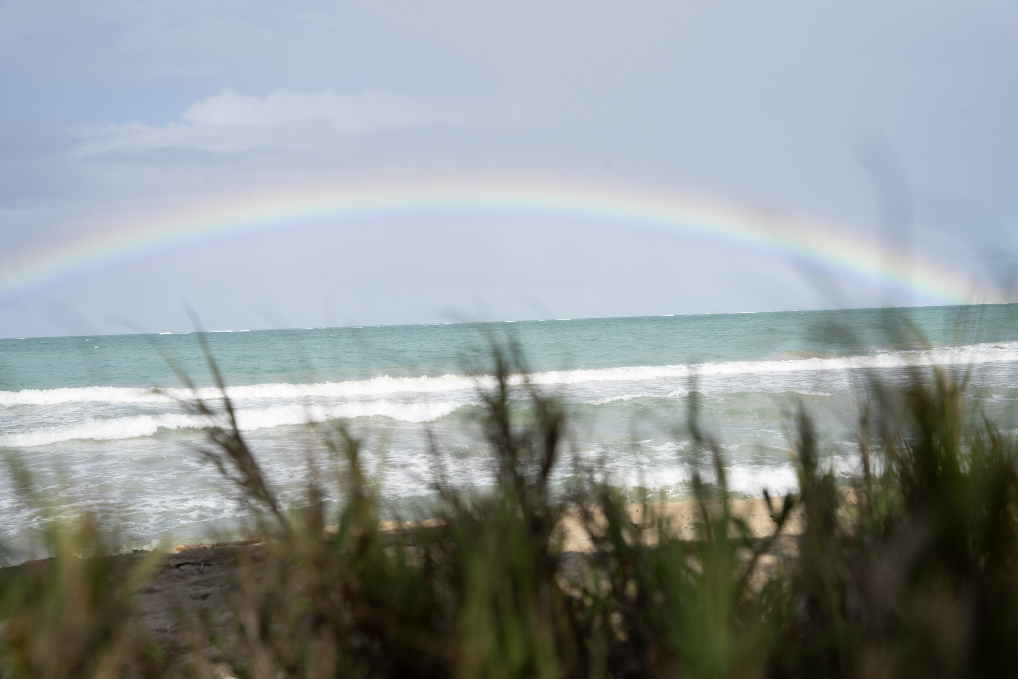 Punta las Marias - foto 44