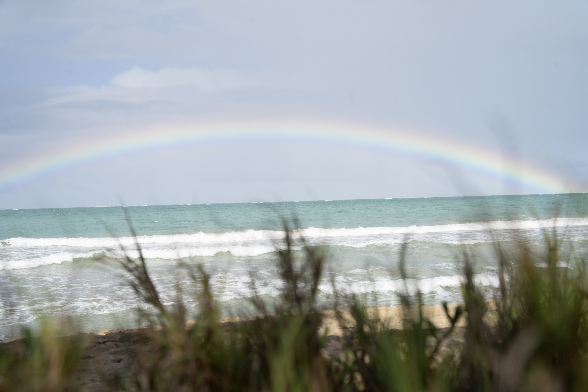 Punta las Marias - foto 46