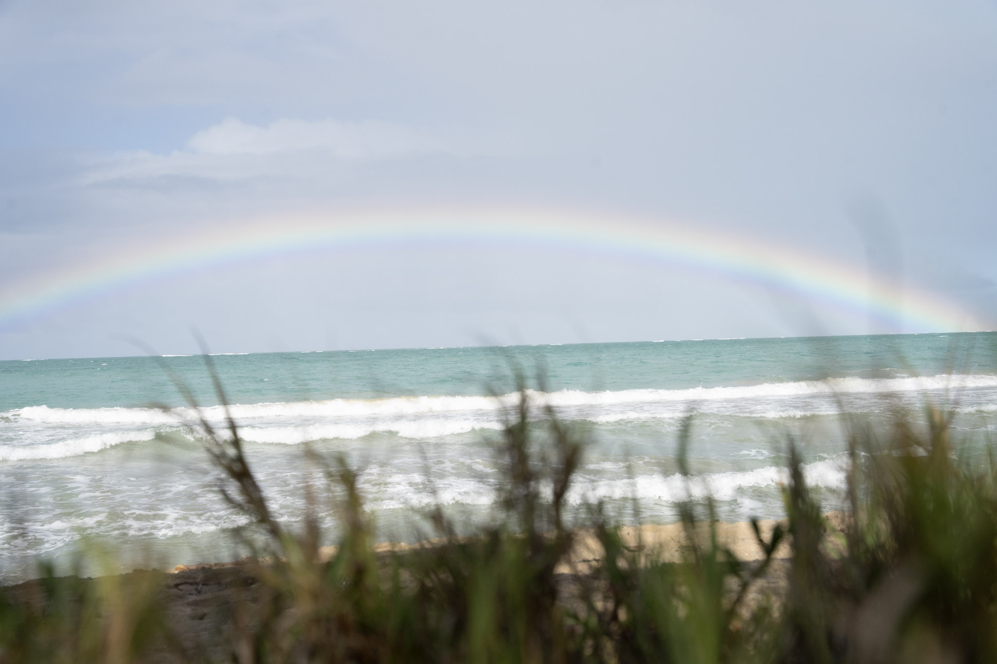 Punta las Marias - foto 47