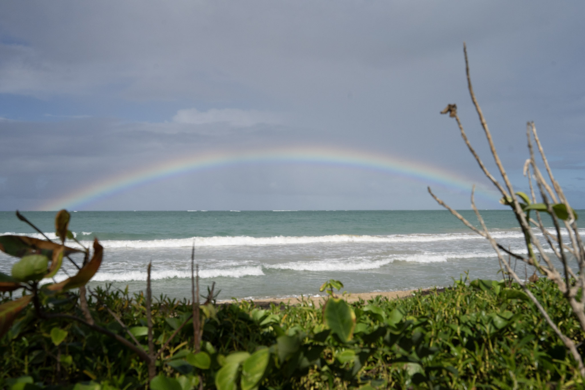 Punta las Marias - foto 48