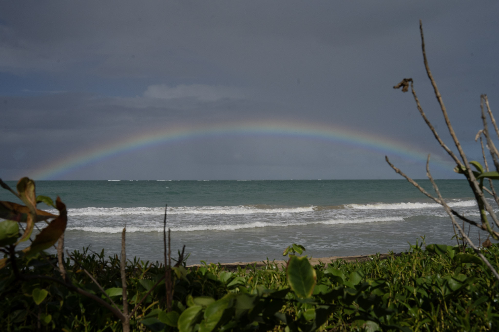 Punta las Marias - foto 50