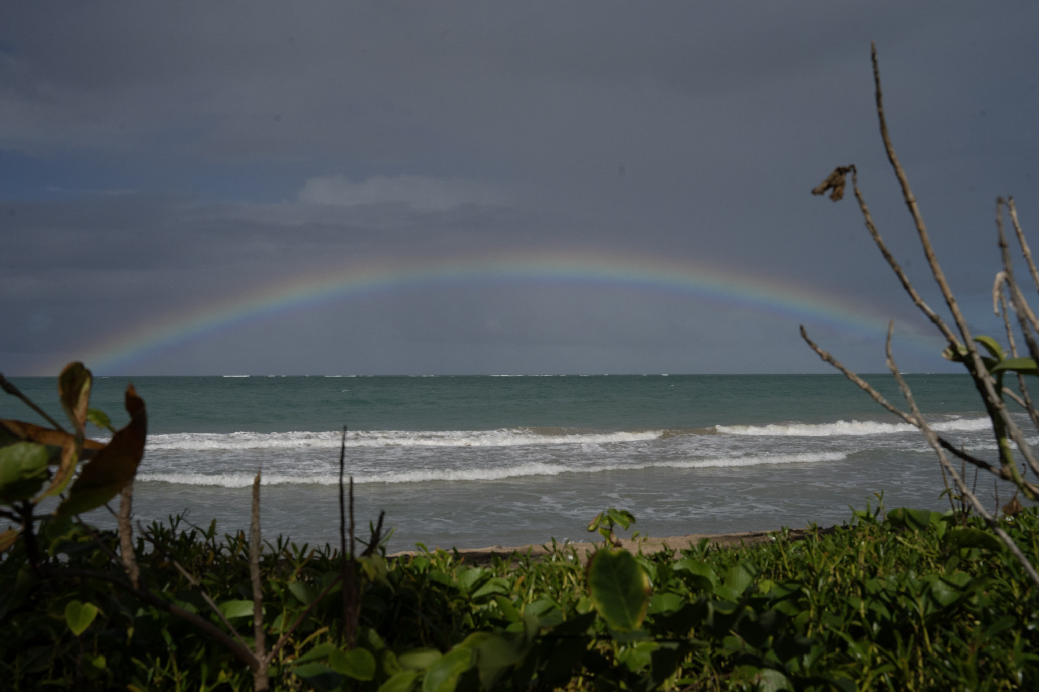 Punta las Marias - foto 51