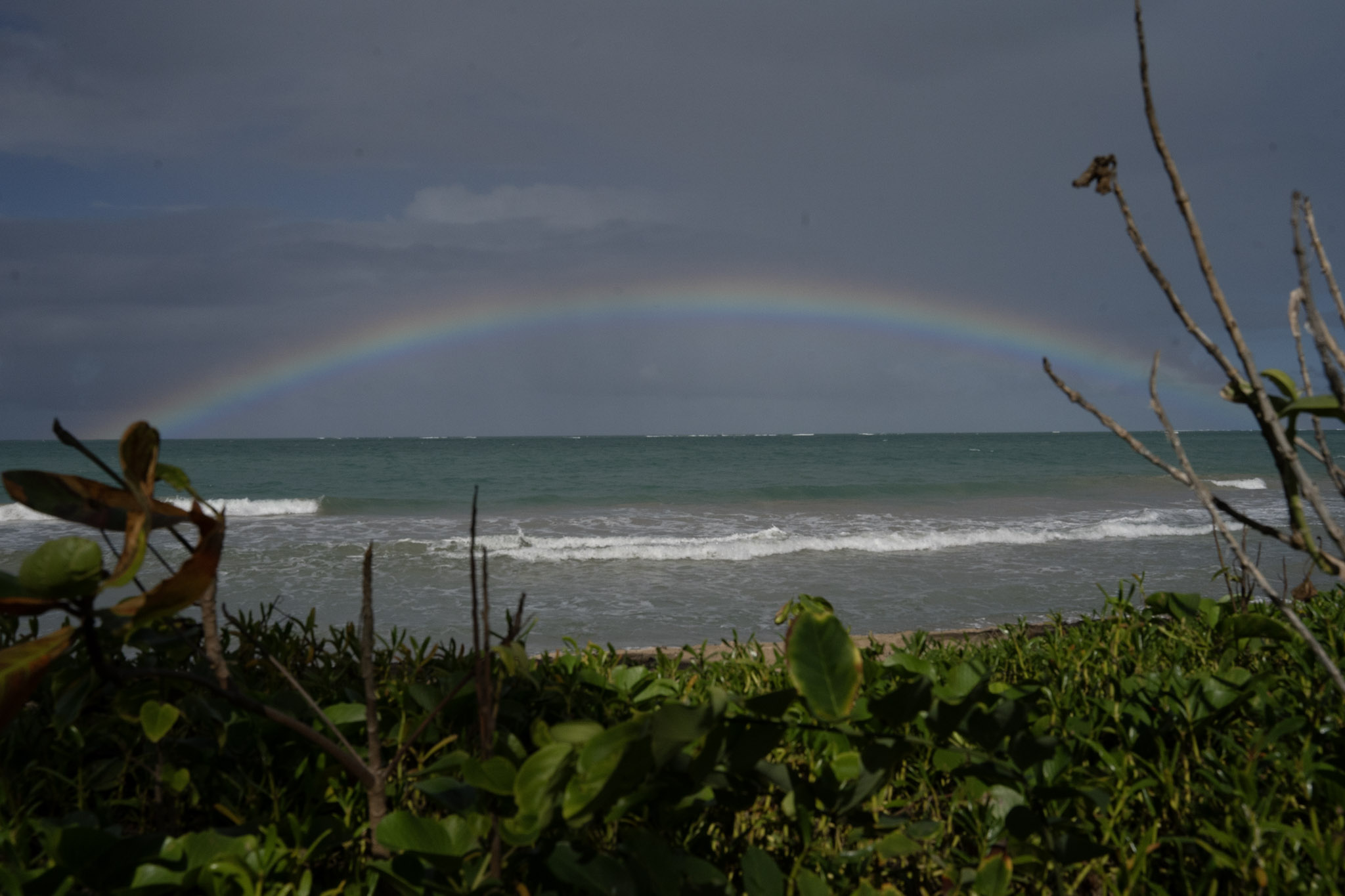 Punta las Marias - foto 52