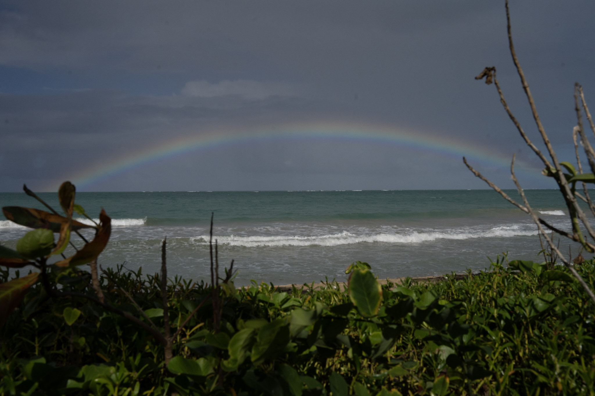 Punta las Marias - foto 53