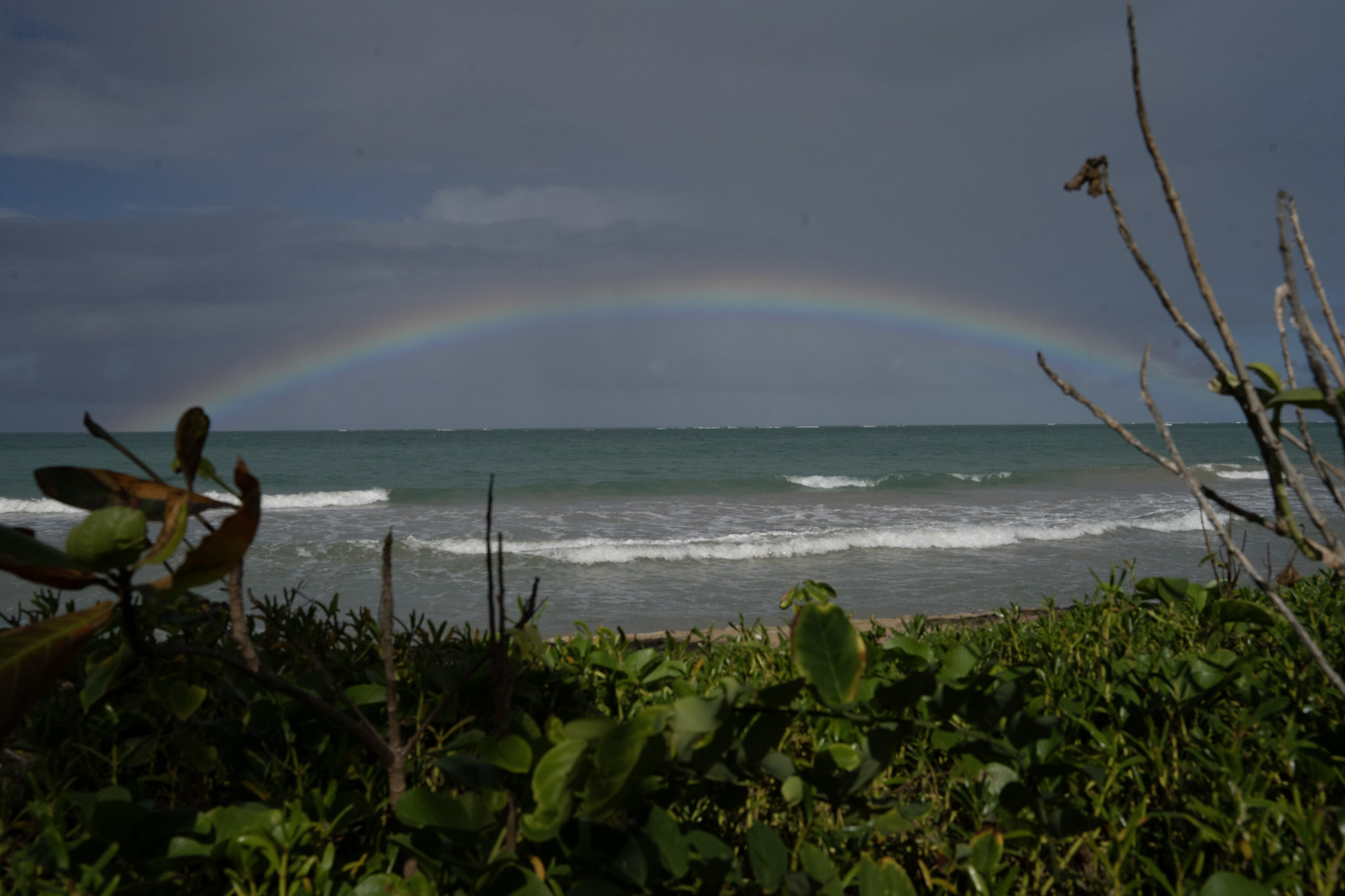 Punta las Marias - foto 54