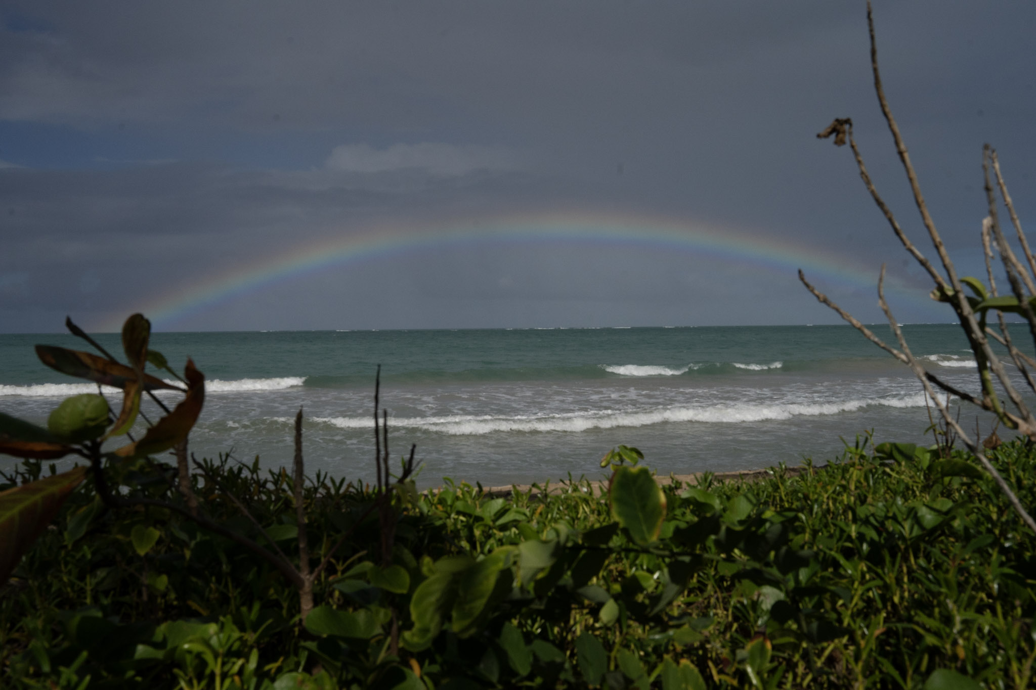 Punta las Marias - foto 55