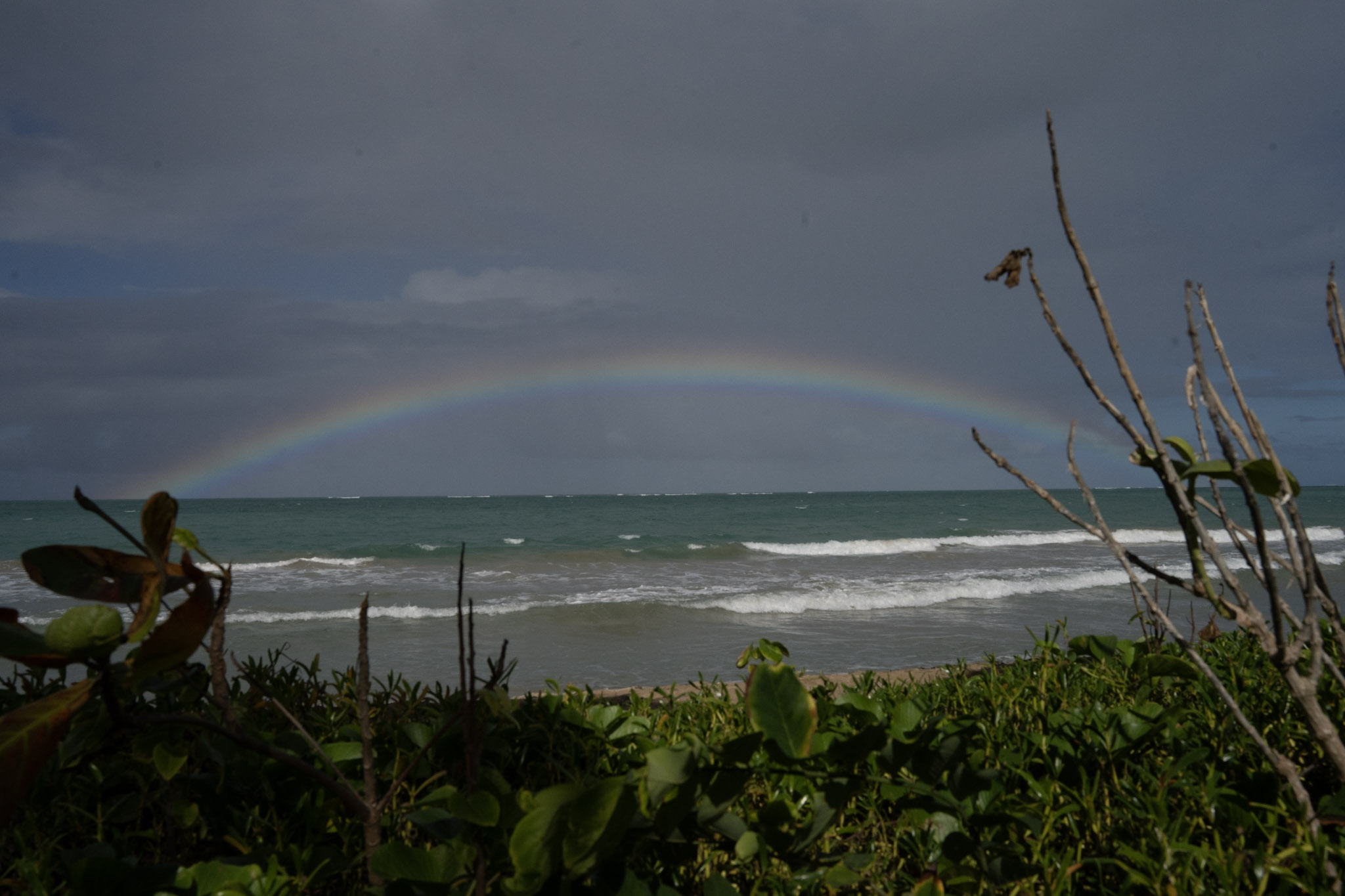 Punta las Marias - foto 56