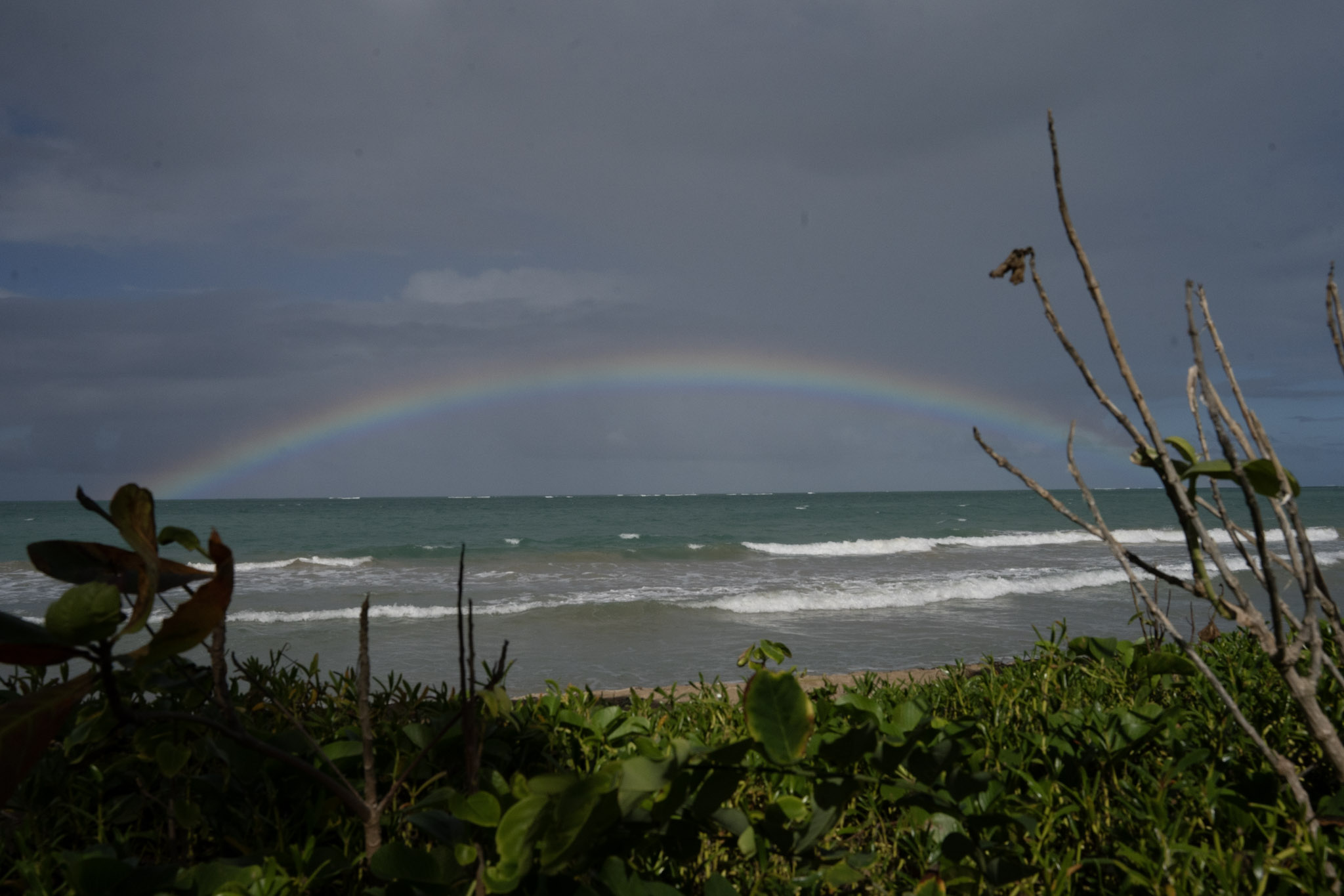 Punta las Marias - foto 57