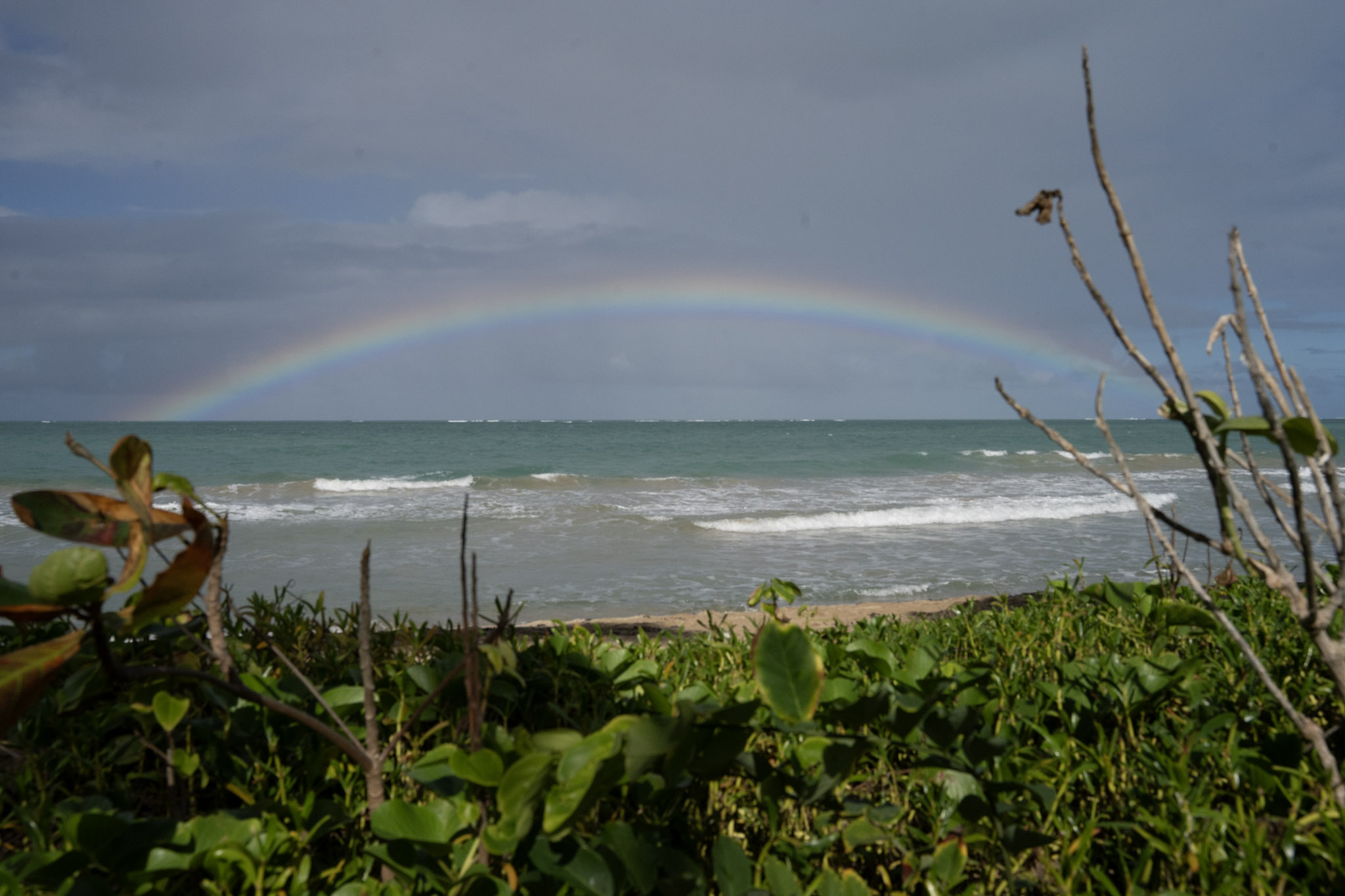 Punta las Marias - foto 58