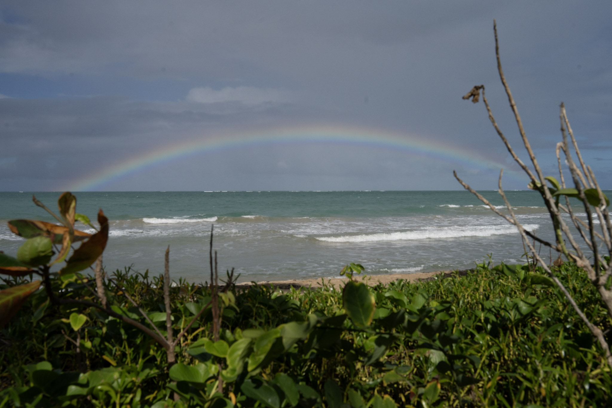 Punta las Marias - foto 59