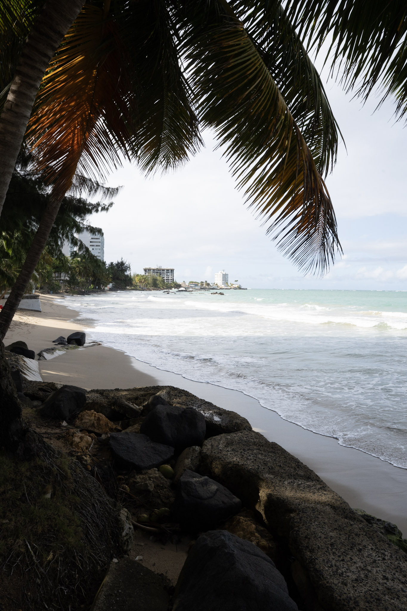 Punta las Marias - foto 66