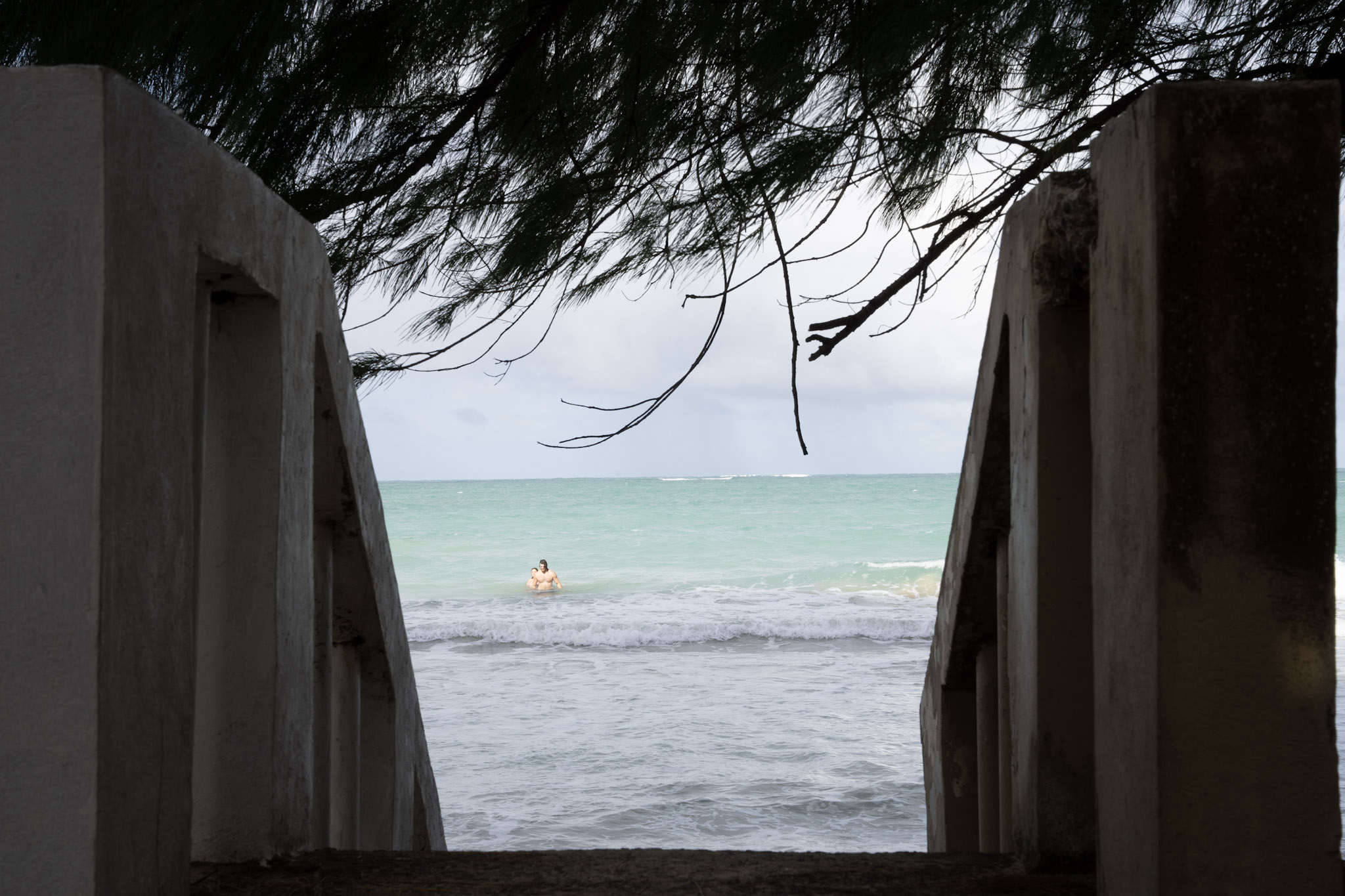 Punta las Marias - foto 76